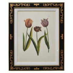 Vintage Chelsea House December Tulip A Bumble Bee Frame