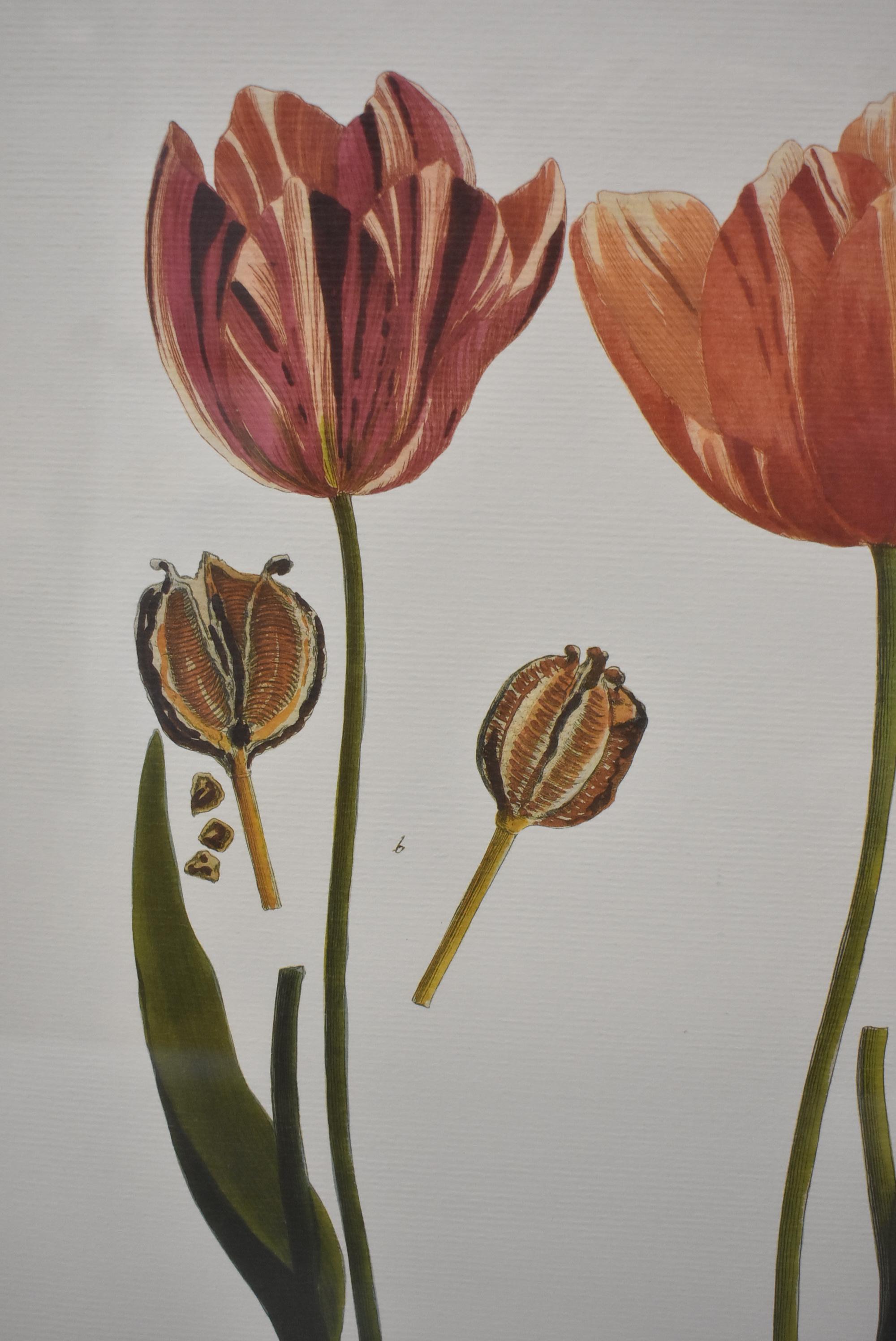 Chelsea House December Tulip D #988. Hand painted gold on black bumble bee.