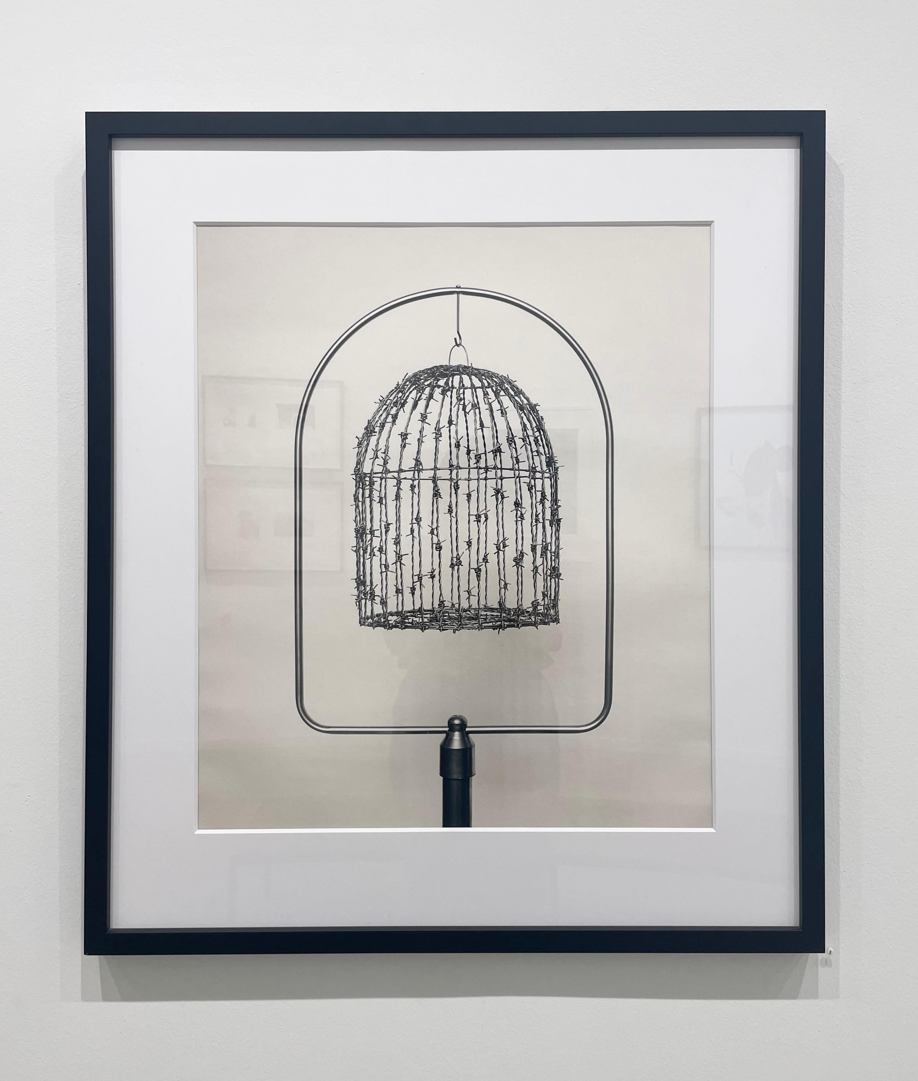 Untitled (Barbed Wire Bird Cage) by Chema Madoz, 2003, Silver Gelatin Print For Sale 1
