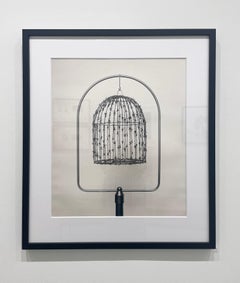 Sin título (Jaula de alambre de espino para pájaros) de Chema Madoz, 2003, Impresión en gelatina de plata