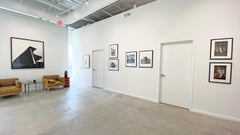 Untitled (Grand Piano/Bat)