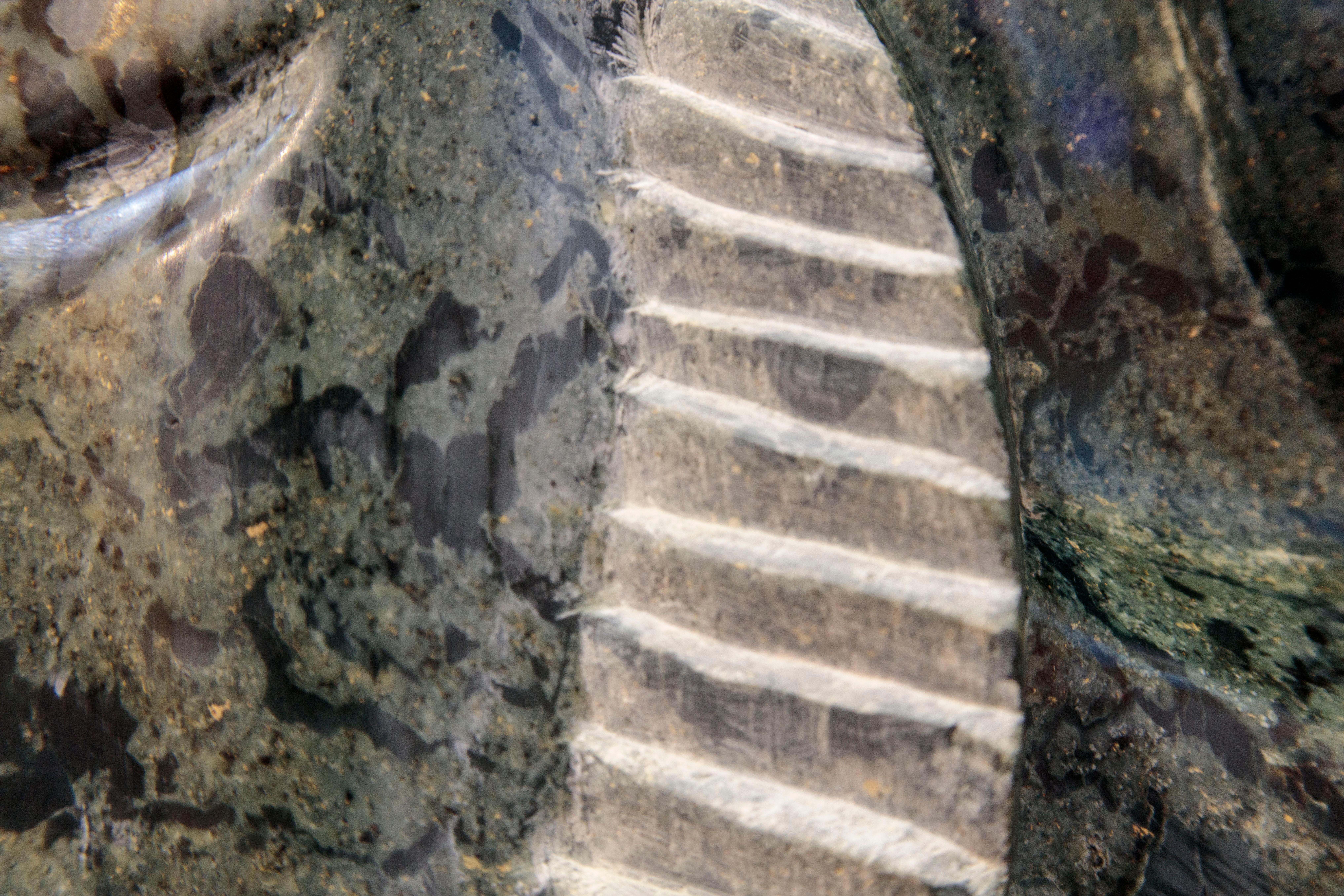 'Special Catch' stone Shona sculpture figure and fish signed by Chemedu Jemali For Sale 4