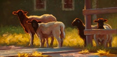 "Free Range" Sheep in Dramatic Summer Evening Light, Bright Green Background