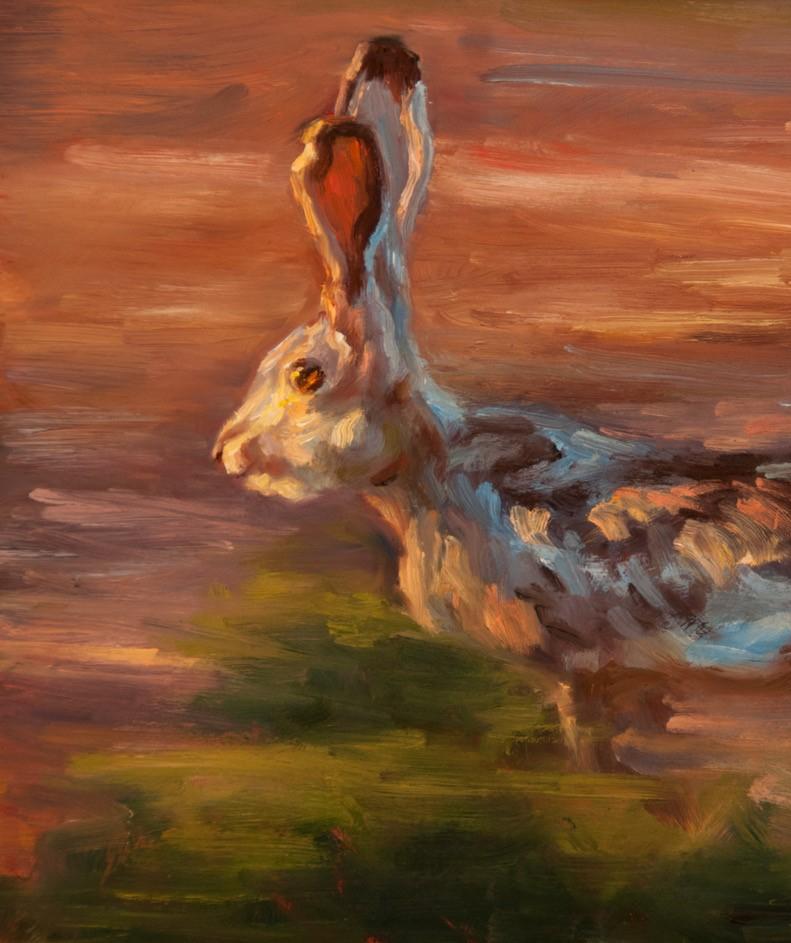 Jack, Jackrabbit, Hare, Oil Painting, Impressionism, Big Bend Park, Texas Artist - Brown Animal Painting by Cheri Christensen
