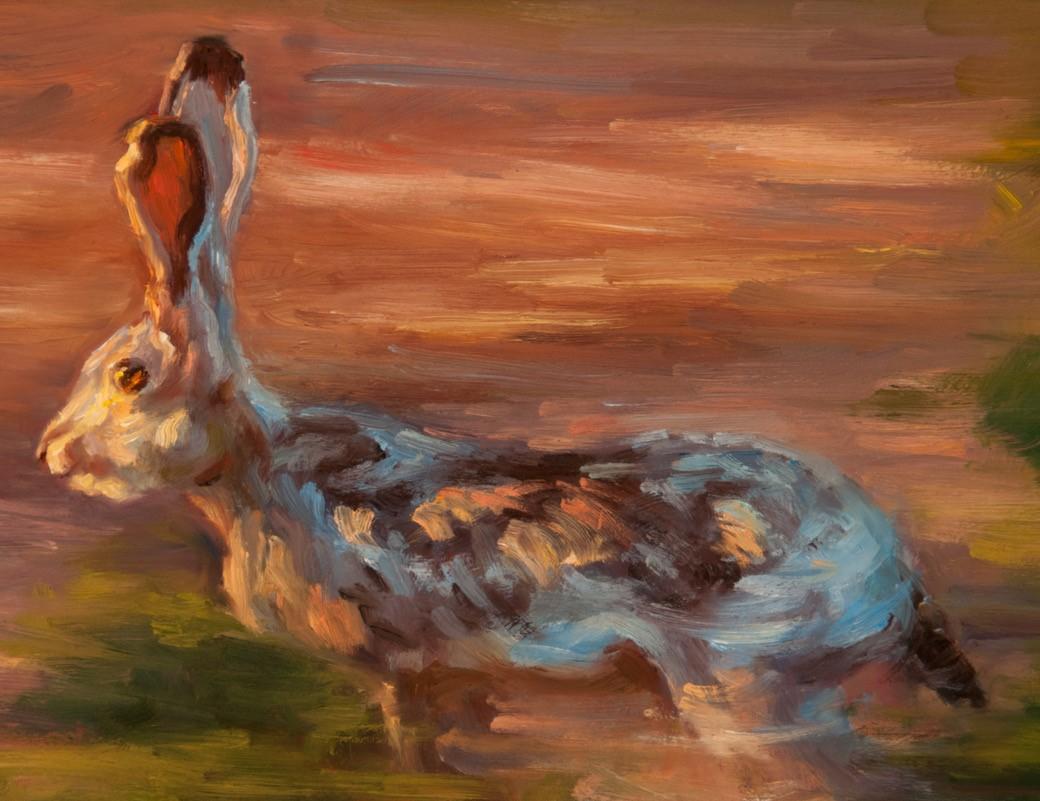 Jack  is a 16 x 20 framed  oil painting of a Jackrabbit .   ADDITIONAL INFO COMING SOON. Framed size is   x   

Meet the Jackrabbits
First things first: Jackrabbits are not rabbits. They’re hares. Both rabbits and hares are members of the mammalian