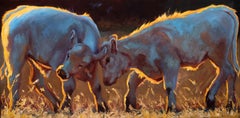 "Recess" Oil painting of two young cows playing in early morning light
