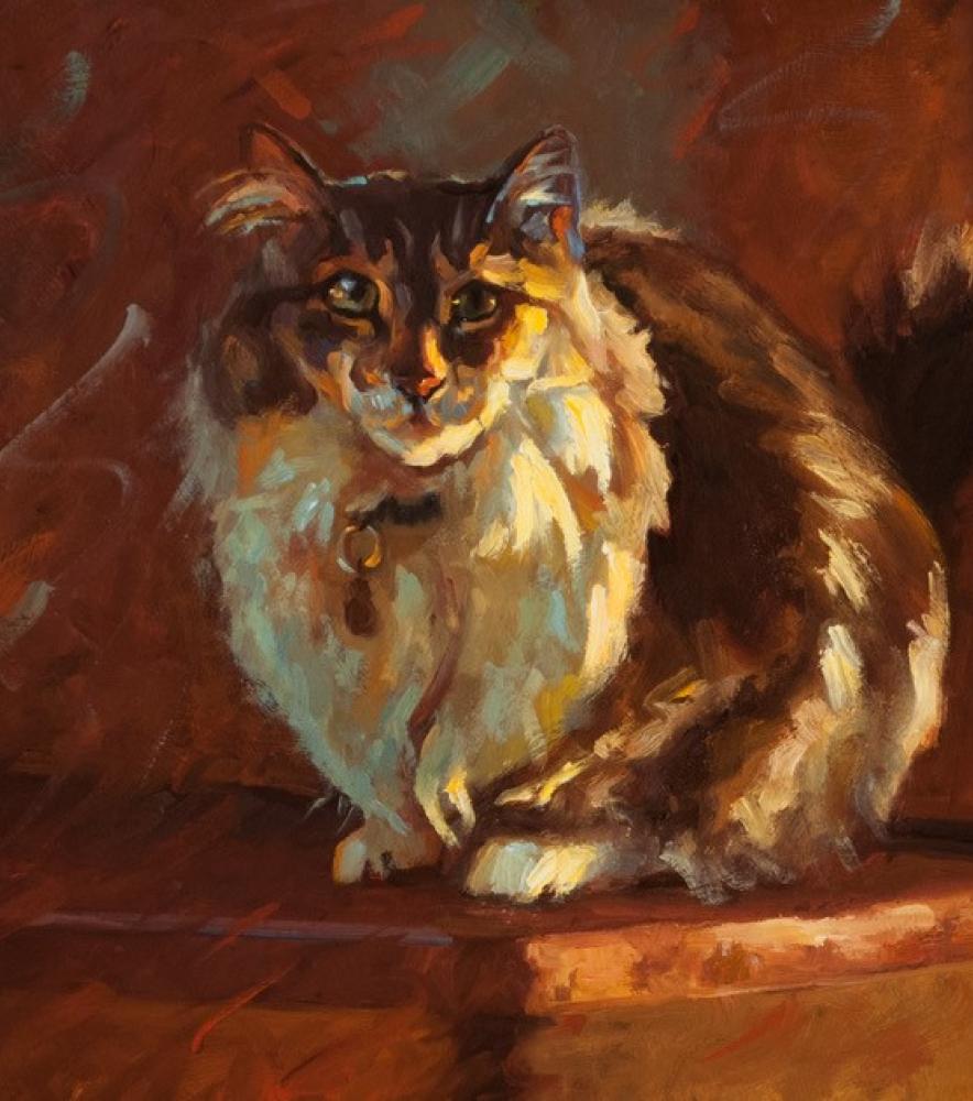 Tink, Impressionism, Oil, Feline, Texas Artist, Cats, Interior Southwest Art - American Impressionist Painting by Cheri Christensen
