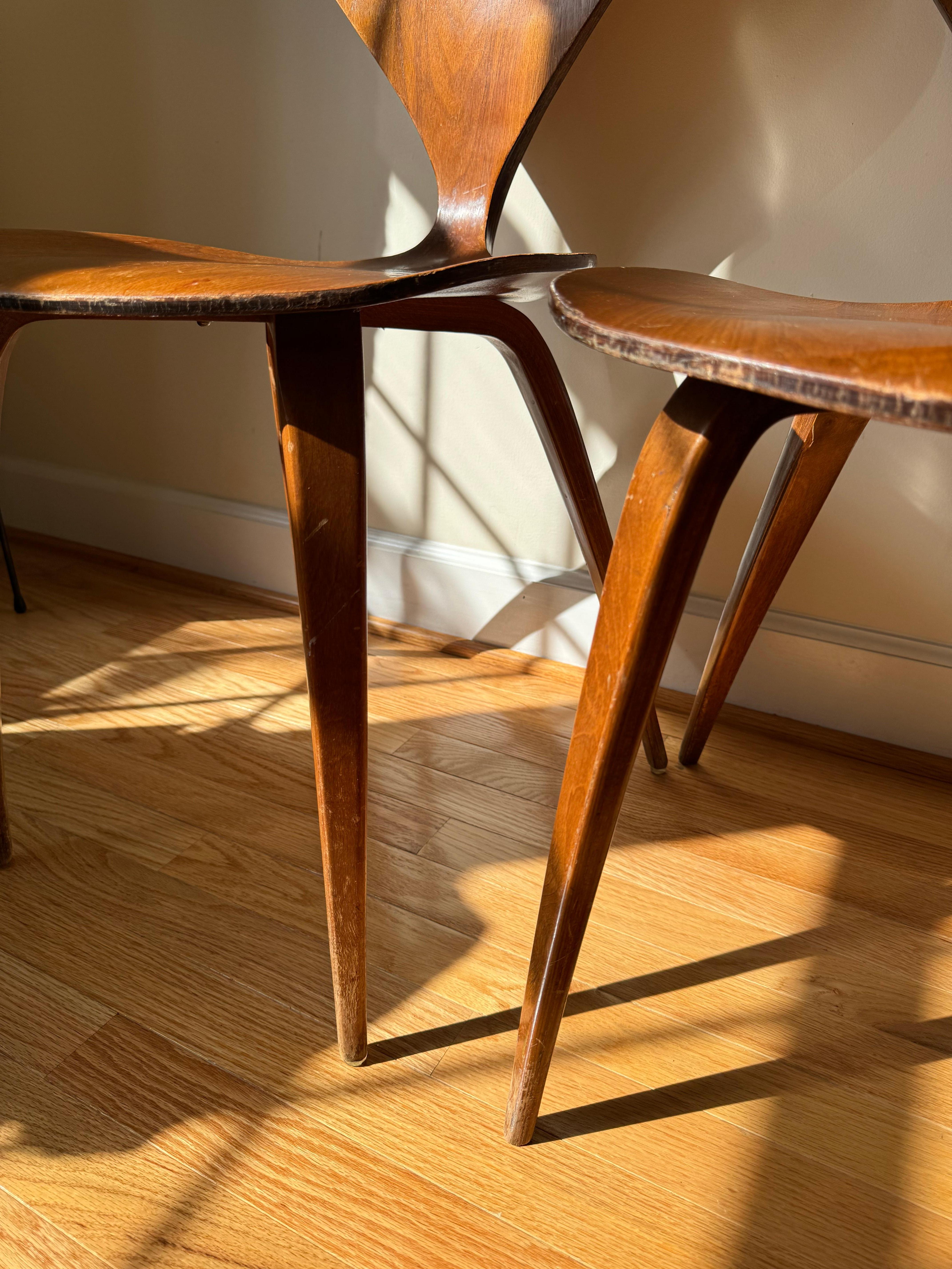 Cherner Side Chair by Norman Cherner for Plycraft For Sale 3