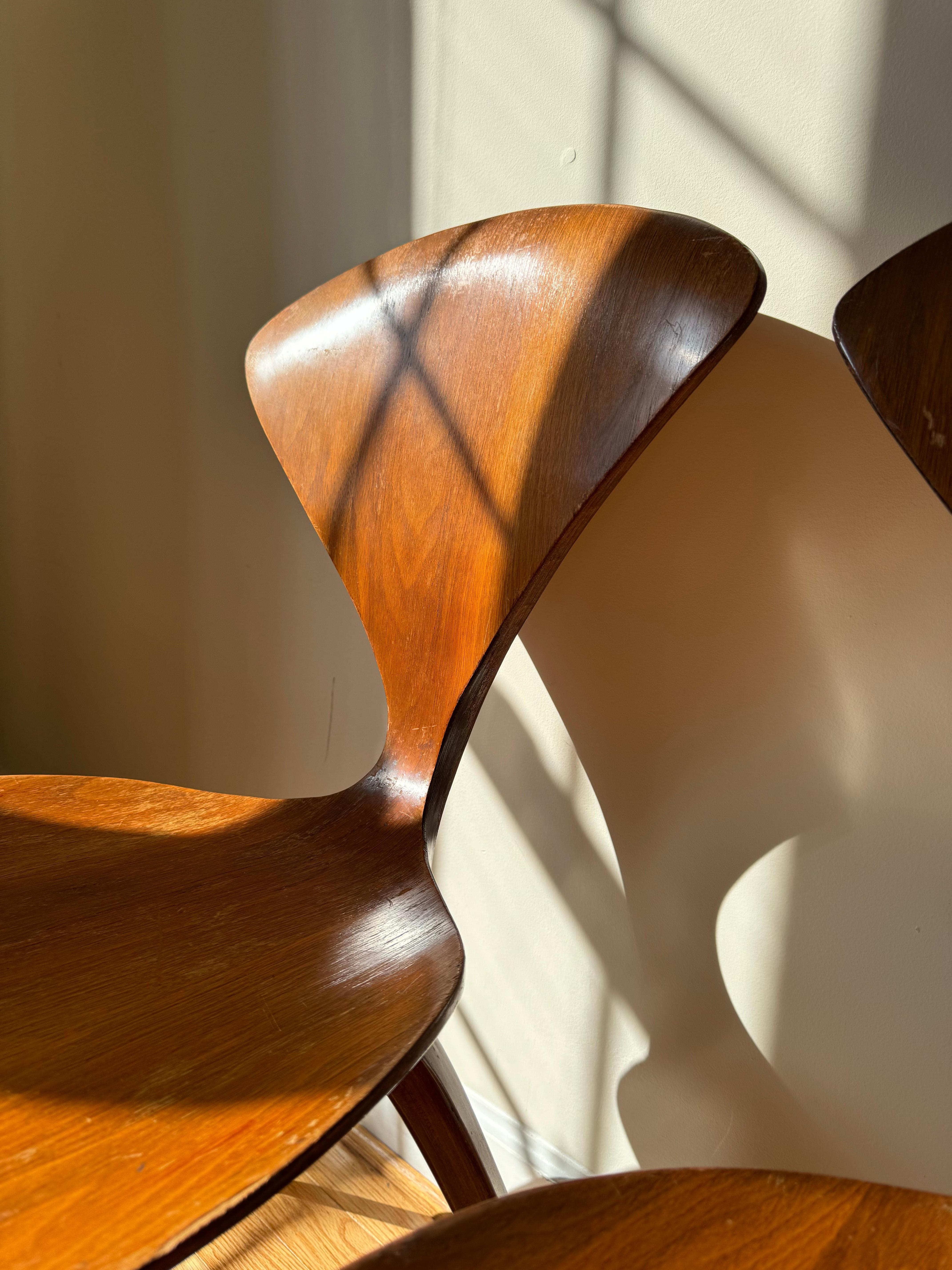 Cherner Side Chair by Norman Cherner for Plycraft For Sale 4