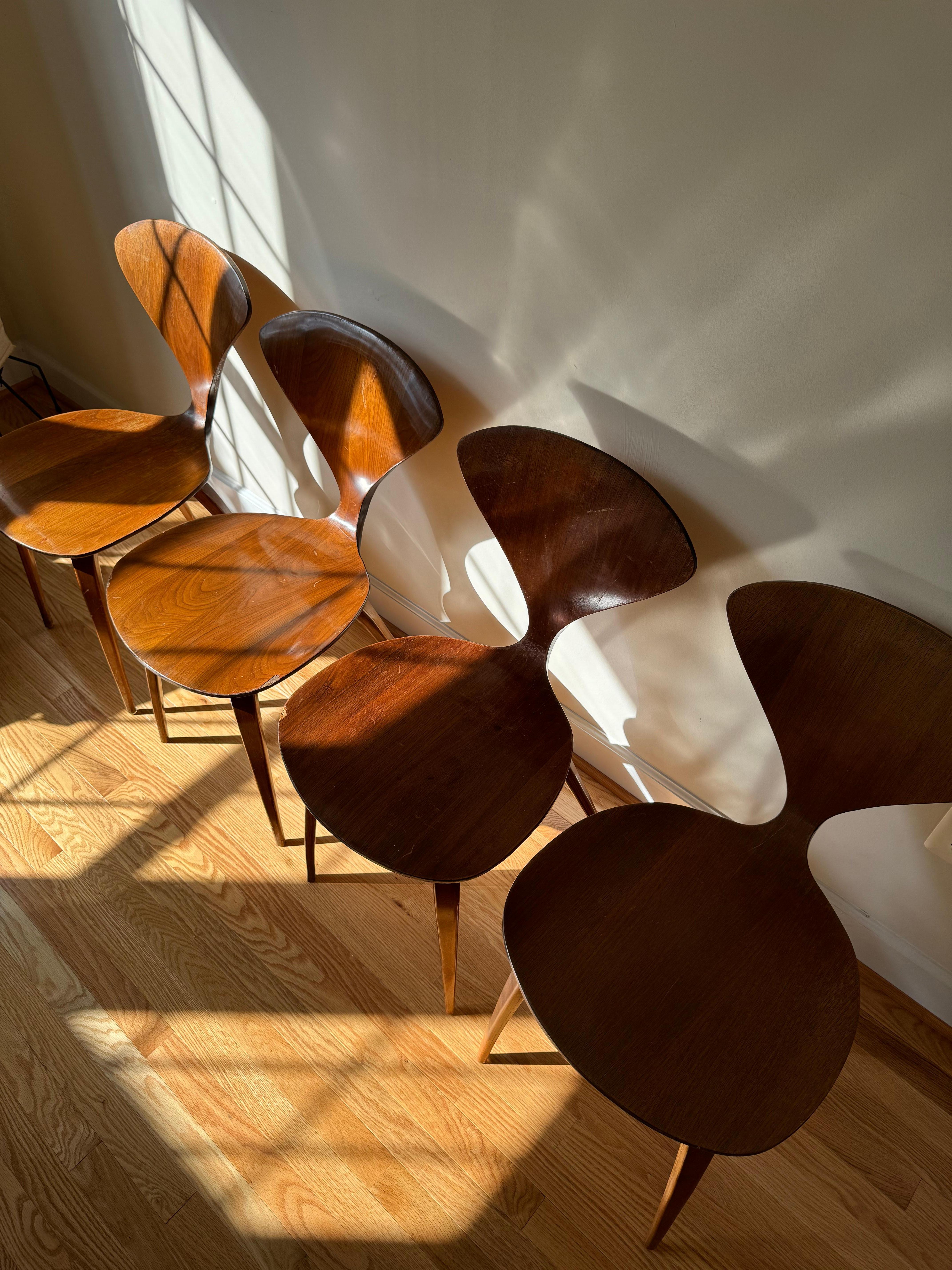 Cherner Side Chair by Norman Cherner for Plycraft For Sale 5