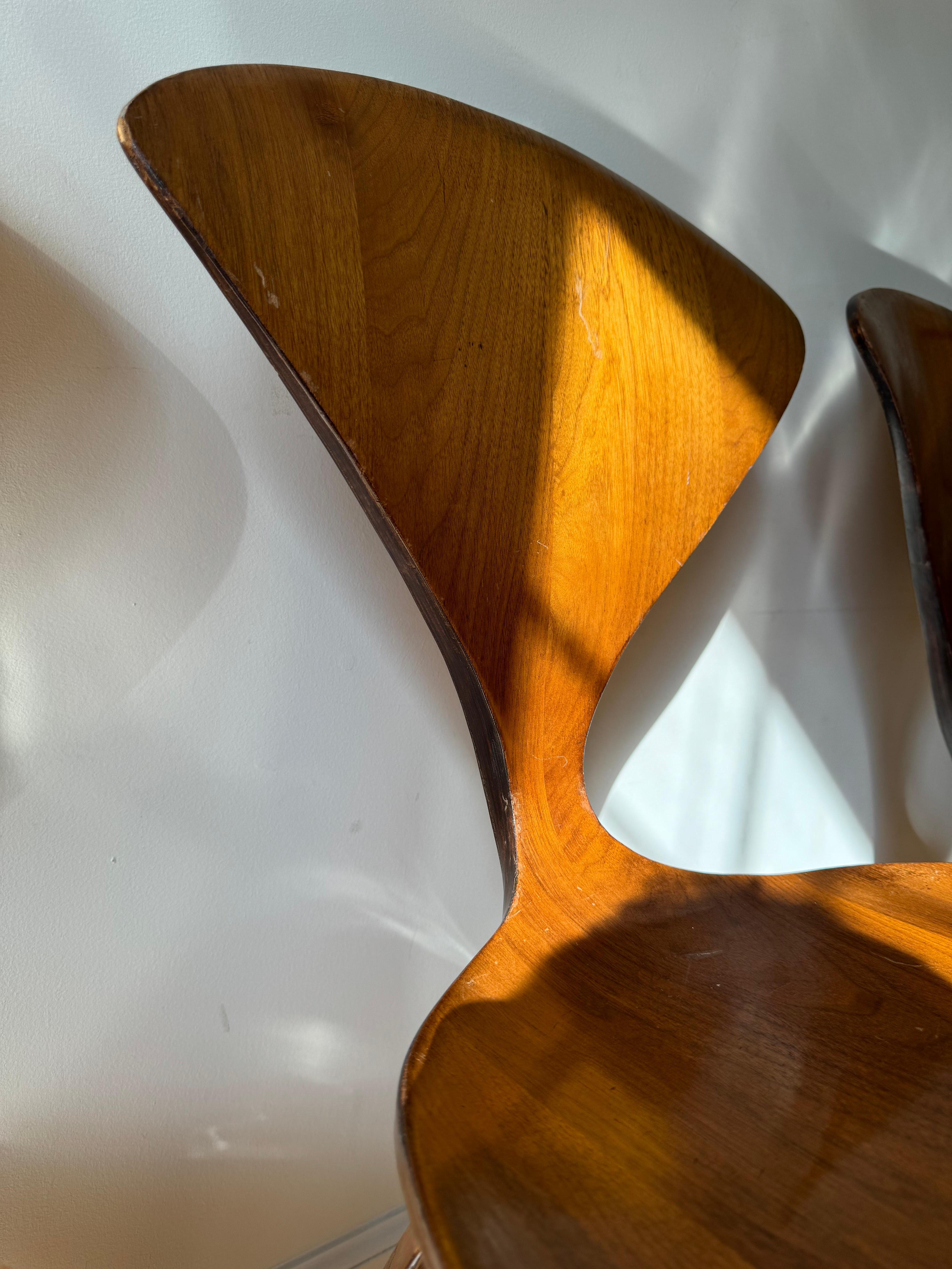 Cherner Side Chair by Norman Cherner for Plycraft For Sale 7