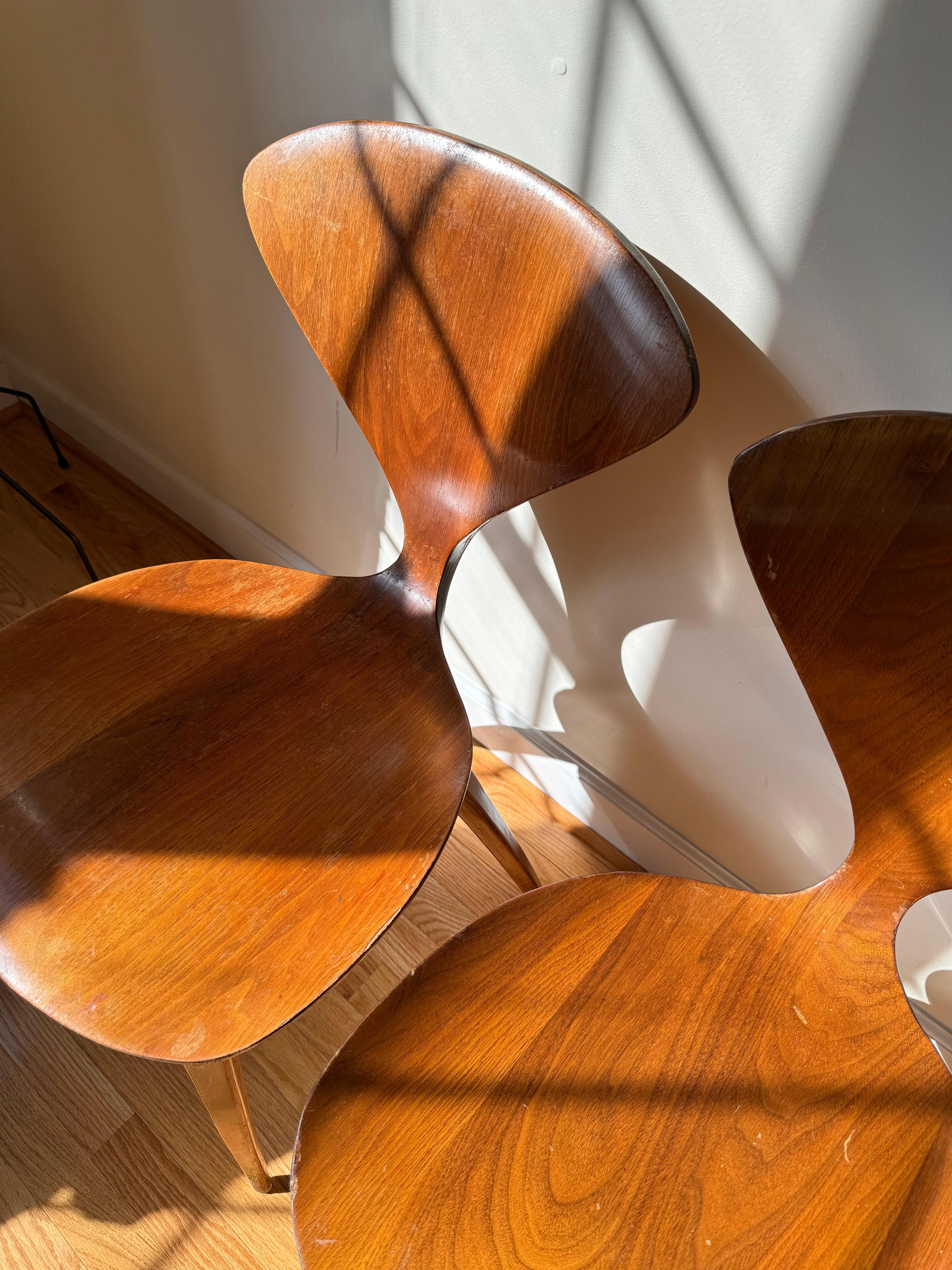 Cherner Side Chair by Norman Cherner for Plycraft For Sale 2