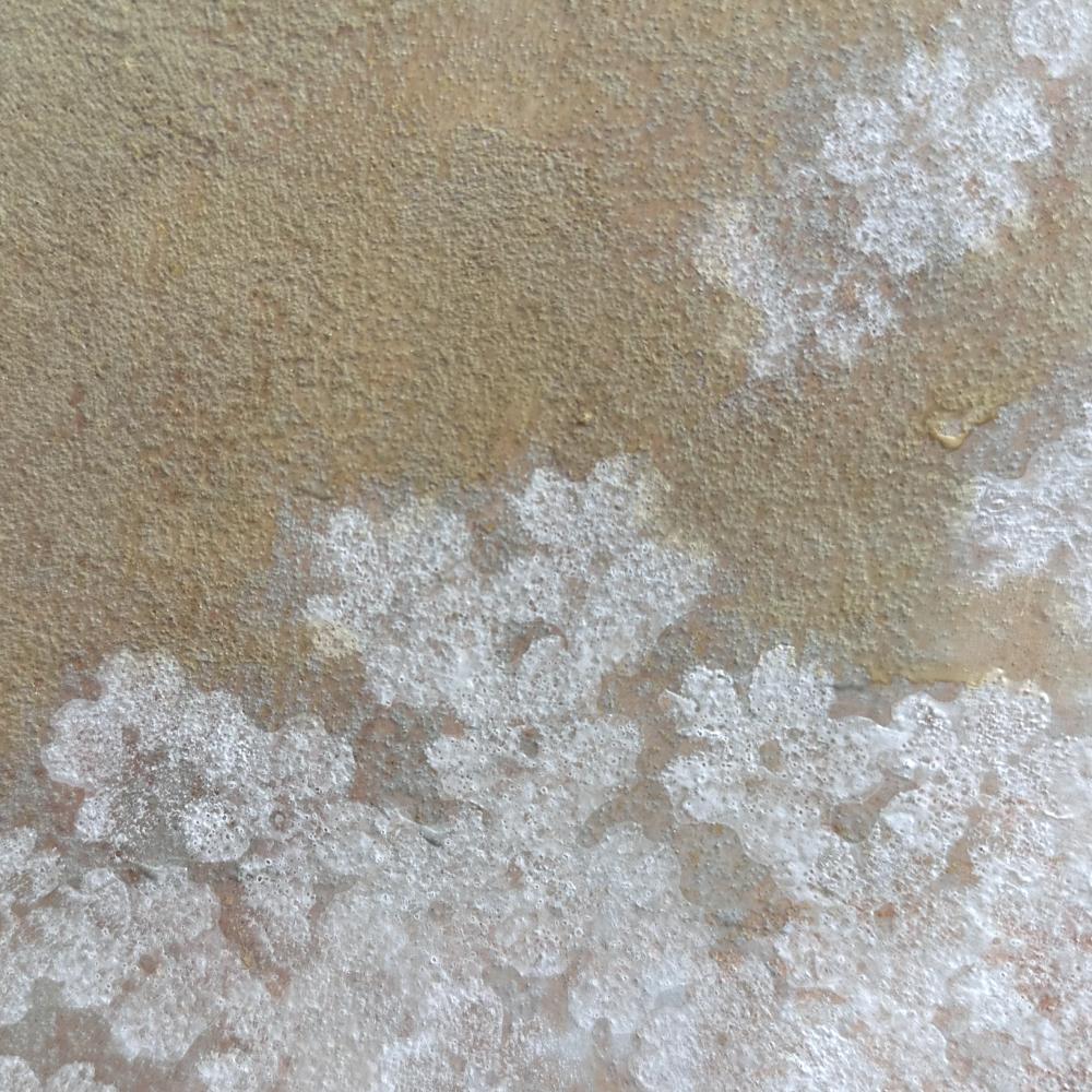 Hand-Painted Cherry blossom screen by Ito Kakou For Sale