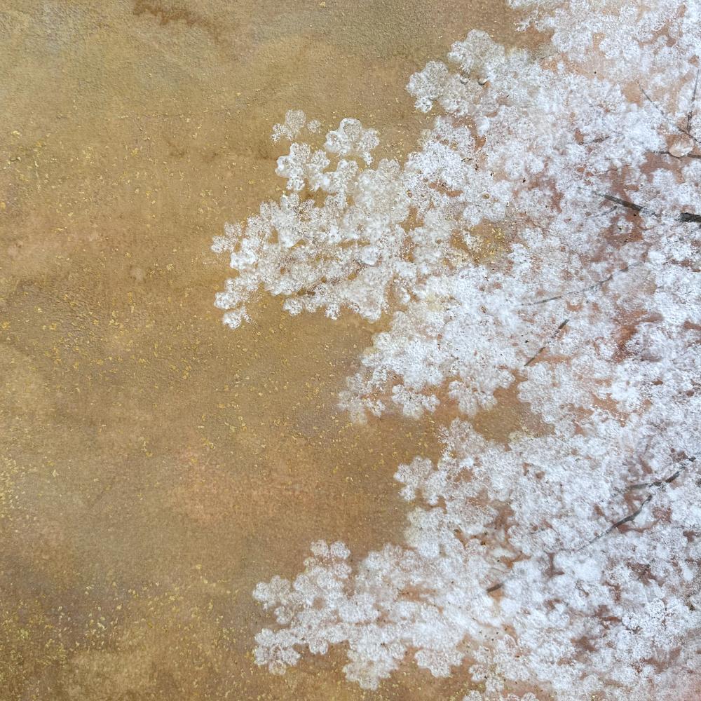 Cherry blossom screen by Ito Kakou In Excellent Condition For Sale In Fukuoka, JP