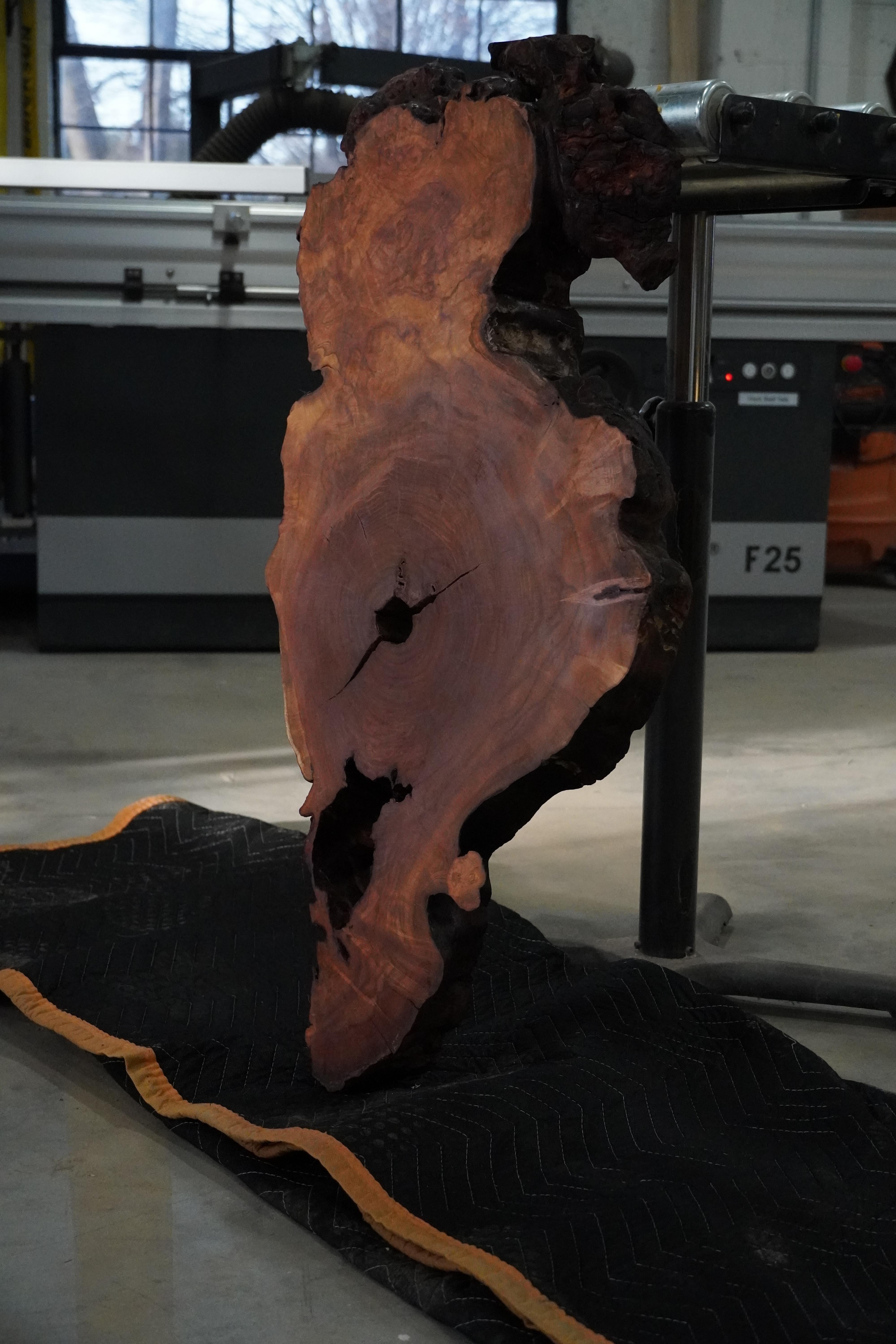 Dark, moody tones evoke a sense of mystery and intrigue, while the live edges capture the untamed essence of the forest. 

Cherry burl harvested & dried by Paramount Wood Co locally in Bucks County, PA

Mounted with an included french cleat for easy