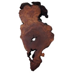 Cherry Burl Organic Edge Floating Wall Art