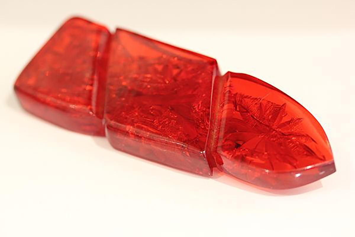 Uncut Cherry Red, carved Bakelite brooch with Fern, C1930's For Sale