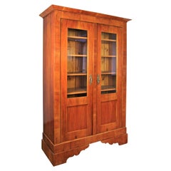 Cherrywood Biedermeier Cabinet Bookcase 19th Century, Austria, circa 1840