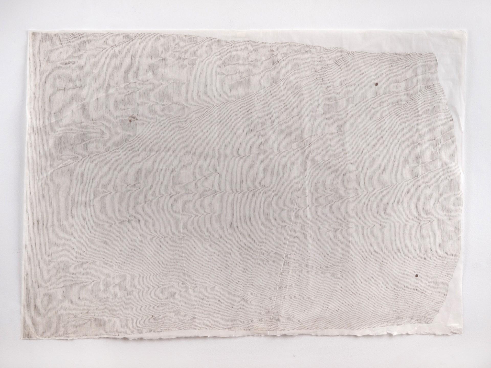 Lines Of A Page With Two Mistakes