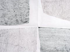 Opera n. 36 con Foldes