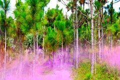 Purple Haze Two- Super Natural Series- Limited Edition of 10