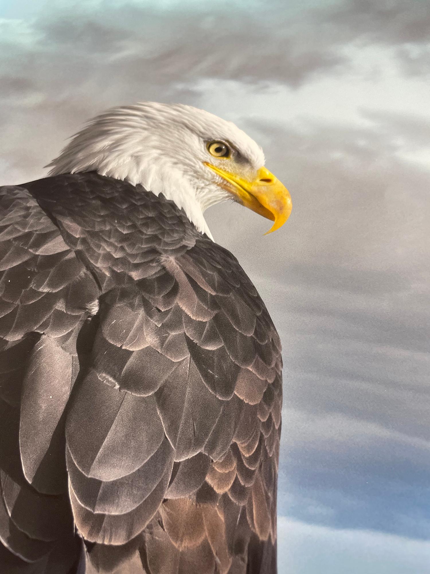 Mirada de águila calva de Cheryl Medow es un retrato de un águila calva mirando por encima del hombro con una montaña visible al fondo.

Edición de 10 ejemplares
Firmado y numerado a lápiz, y sello ciego en el margen de la impresión por Cheryl