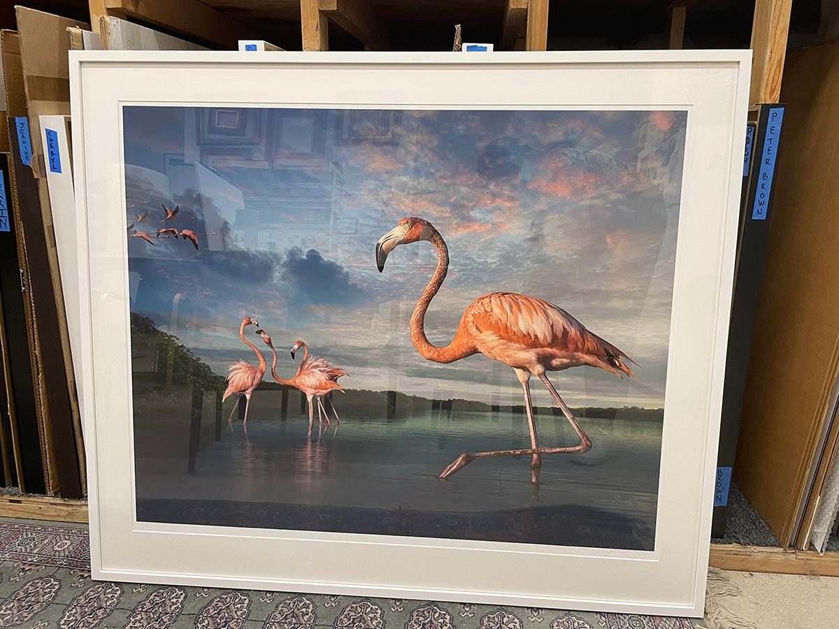 Flamingos at Rio Lagartos par Cheryl Medow, 2017, impression pigmentaire d'art en vente 1