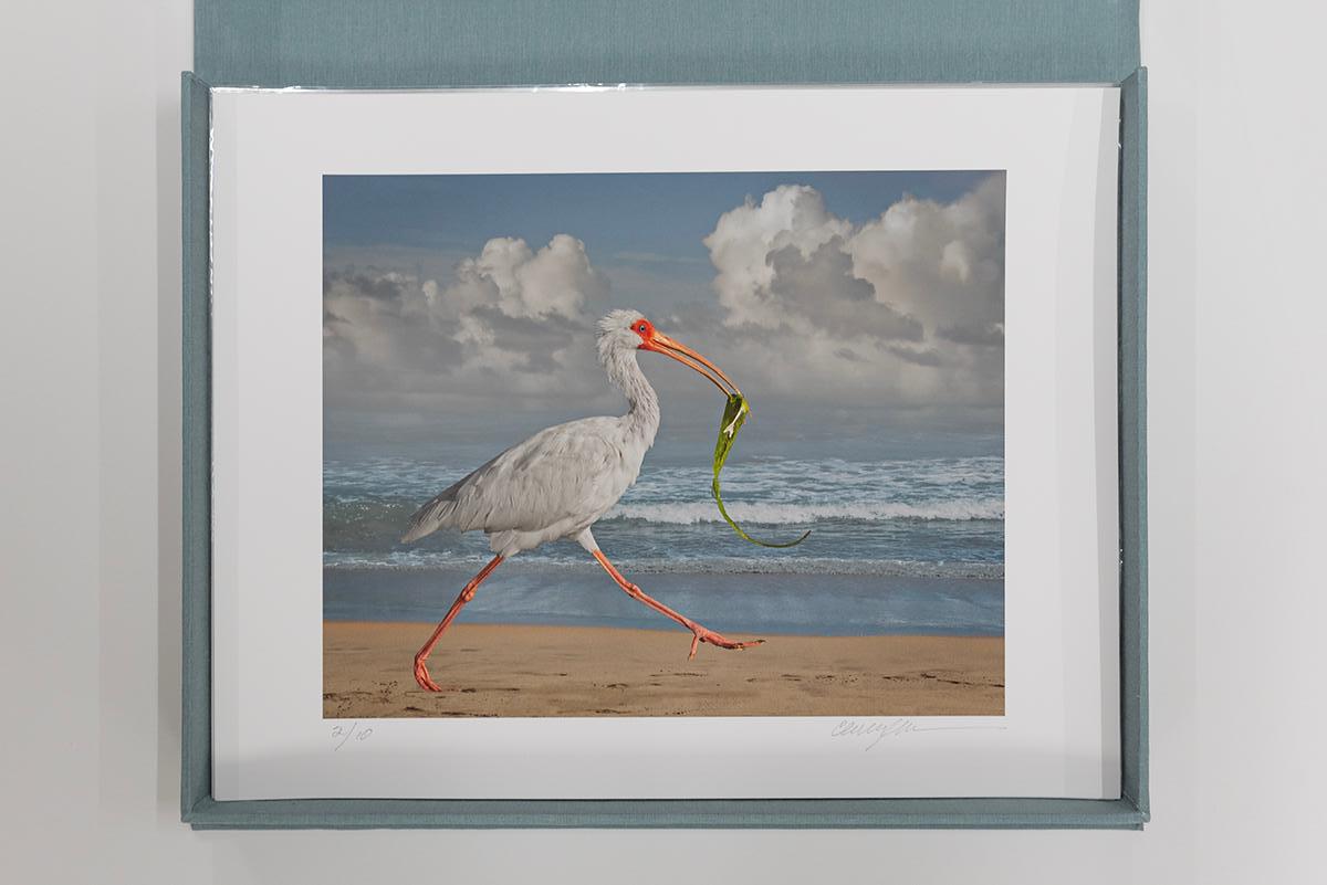 For the Love of Nature: Photographs by Cheryl Medow – Portfolio in limitierter Auflage im Angebot 5