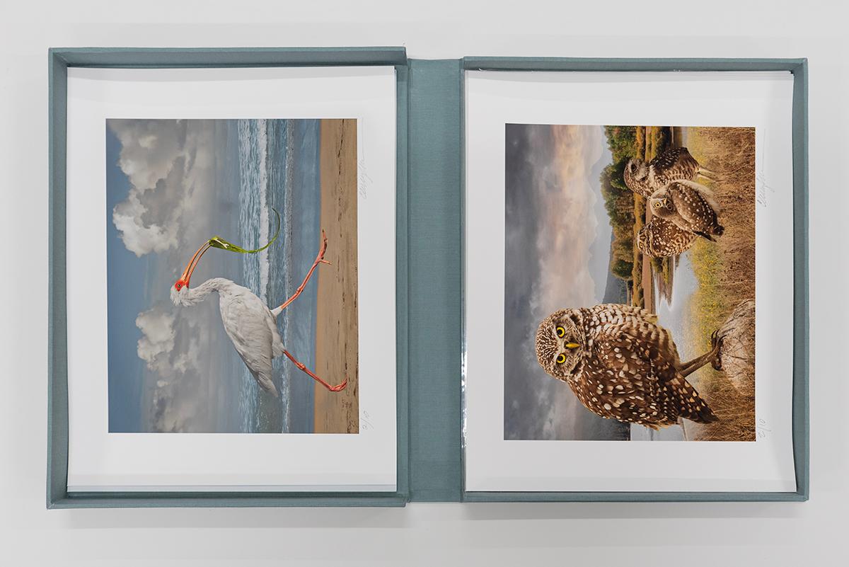 For the Love of Nature: Photographs by Cheryl Medow – Portfolio in limitierter Auflage im Angebot 6