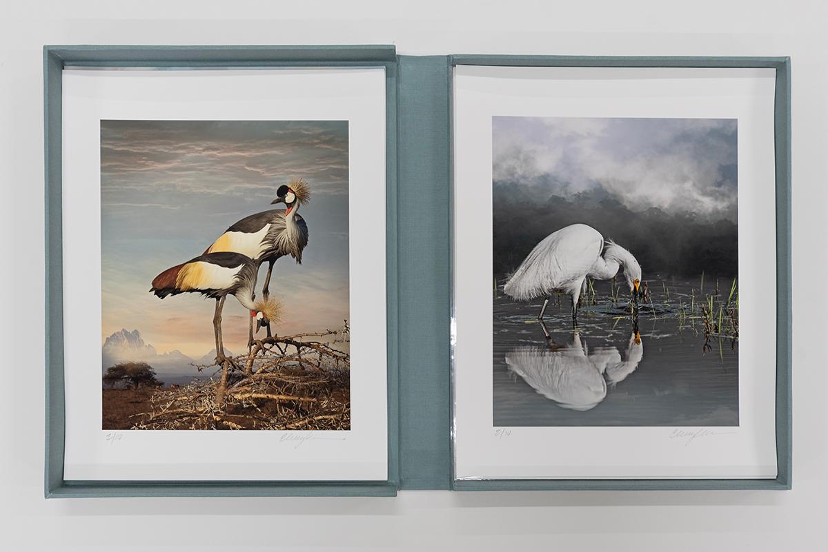For the Love of Nature: Photographs by Cheryl Medow – Portfolio in limitierter Auflage im Angebot 7