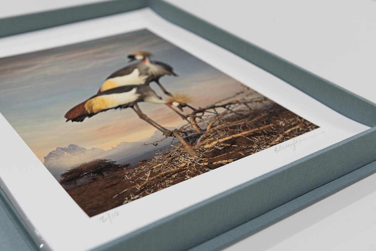 For the Love of Nature: Photographs by Cheryl Medow – Portfolio in limitierter Auflage im Angebot 8