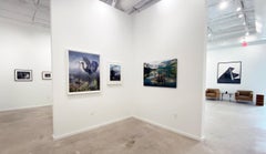 Great Blue Heron With Chicks Revisited S.E.