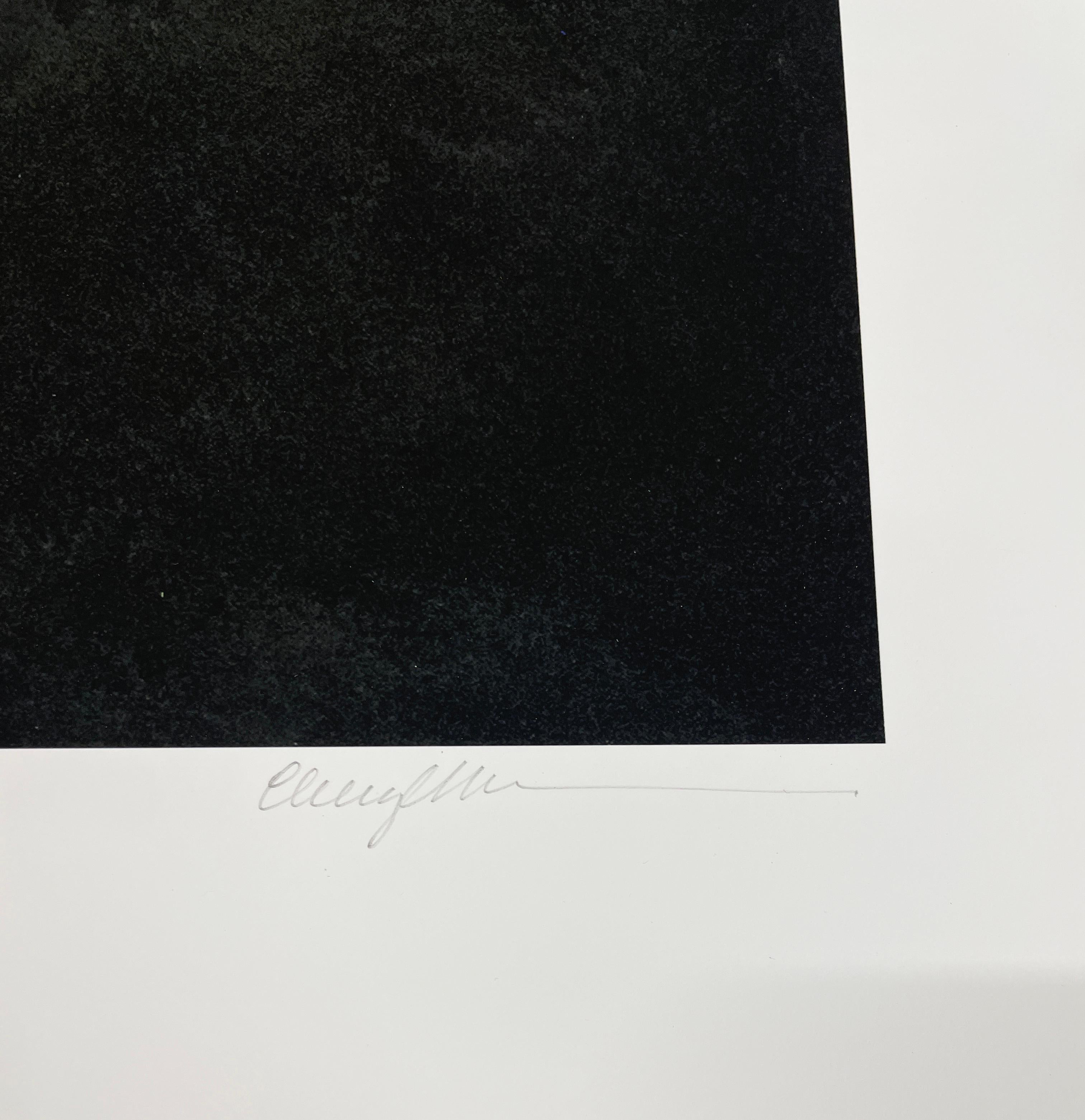 Garceta grande y la Vía Láctea - Fotografía en color de edición limitada, Ave, Space - Figurative Photograph Negro de Cheryl Medow