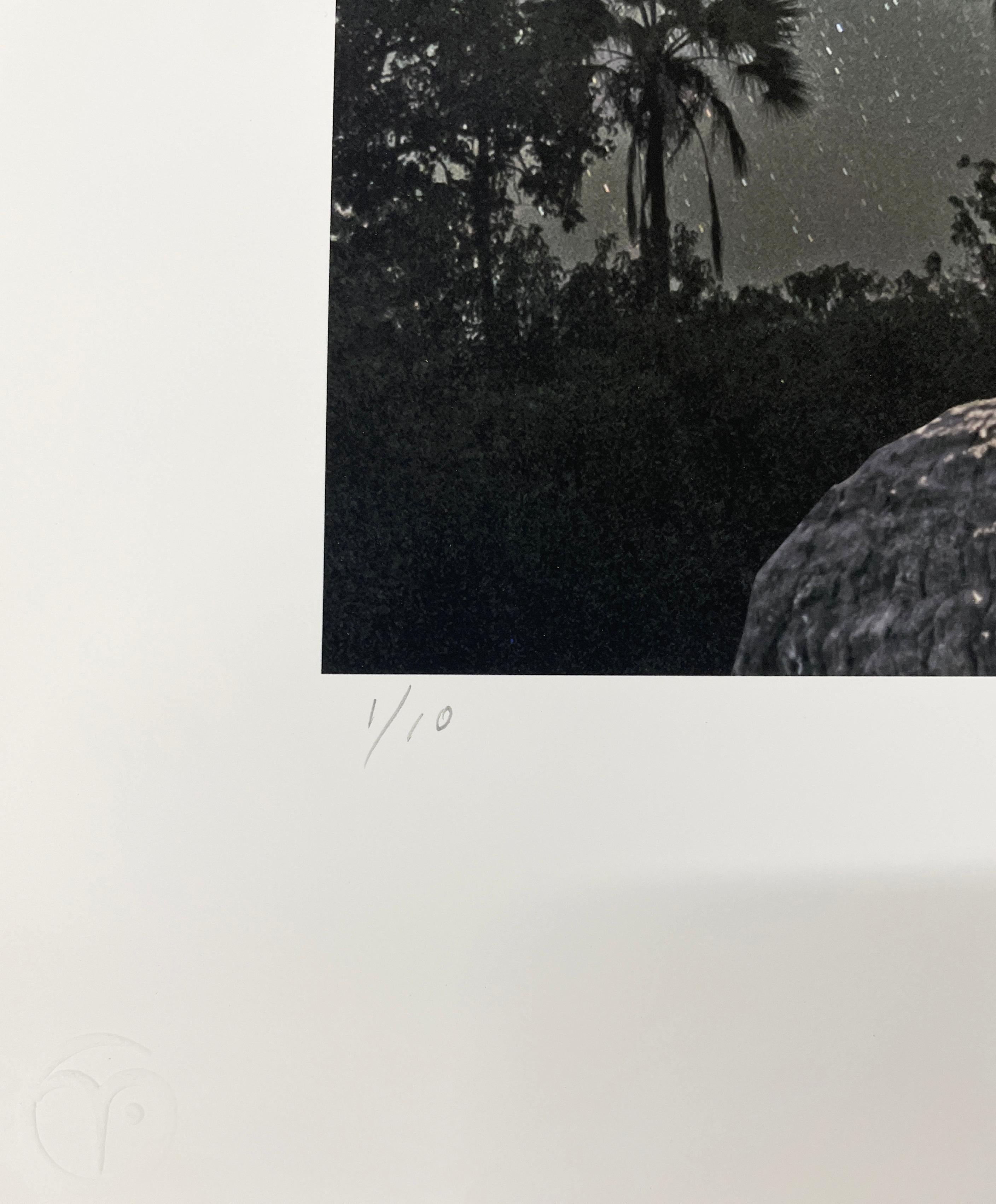 La garceta grande y la Vía Láctea de Cheryl Medow es una fotografía en color de edición limitada de un pájaro blanco con la cabeza bajo el ala, de pie sobre una roca contra un cielo nocturno estrellado.

Impresión pigmentada de archivo
Edición de 25