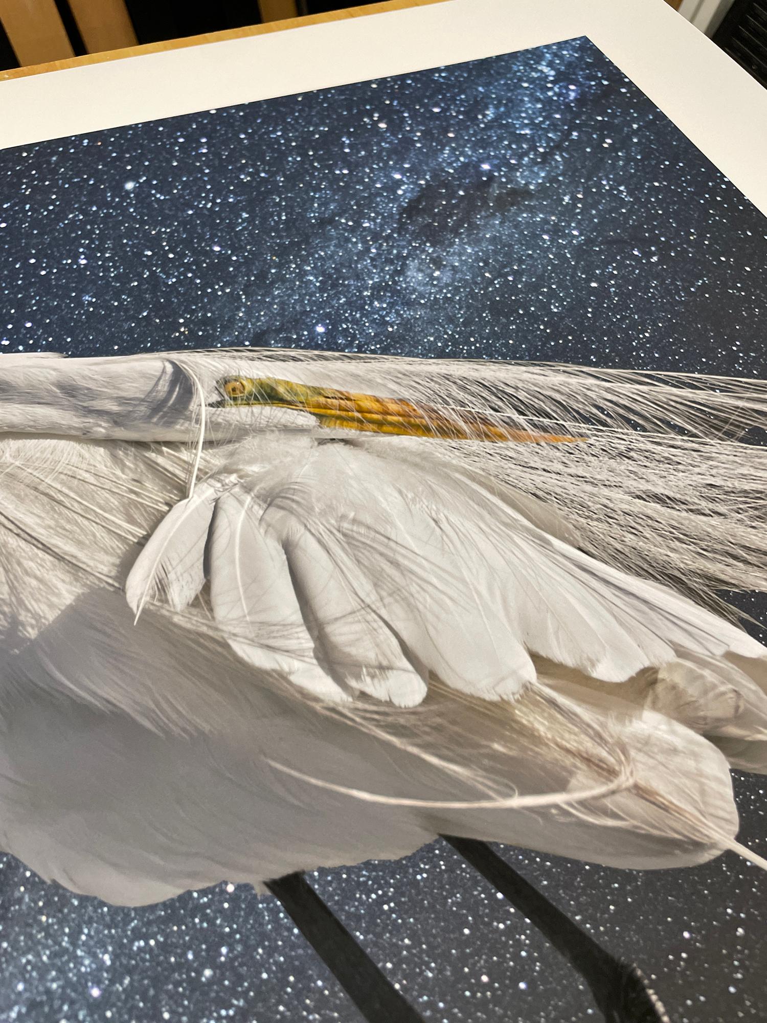 Garceta grande y la Vía Láctea - Fotografía en color de edición limitada, Ave, Space en venta 1
