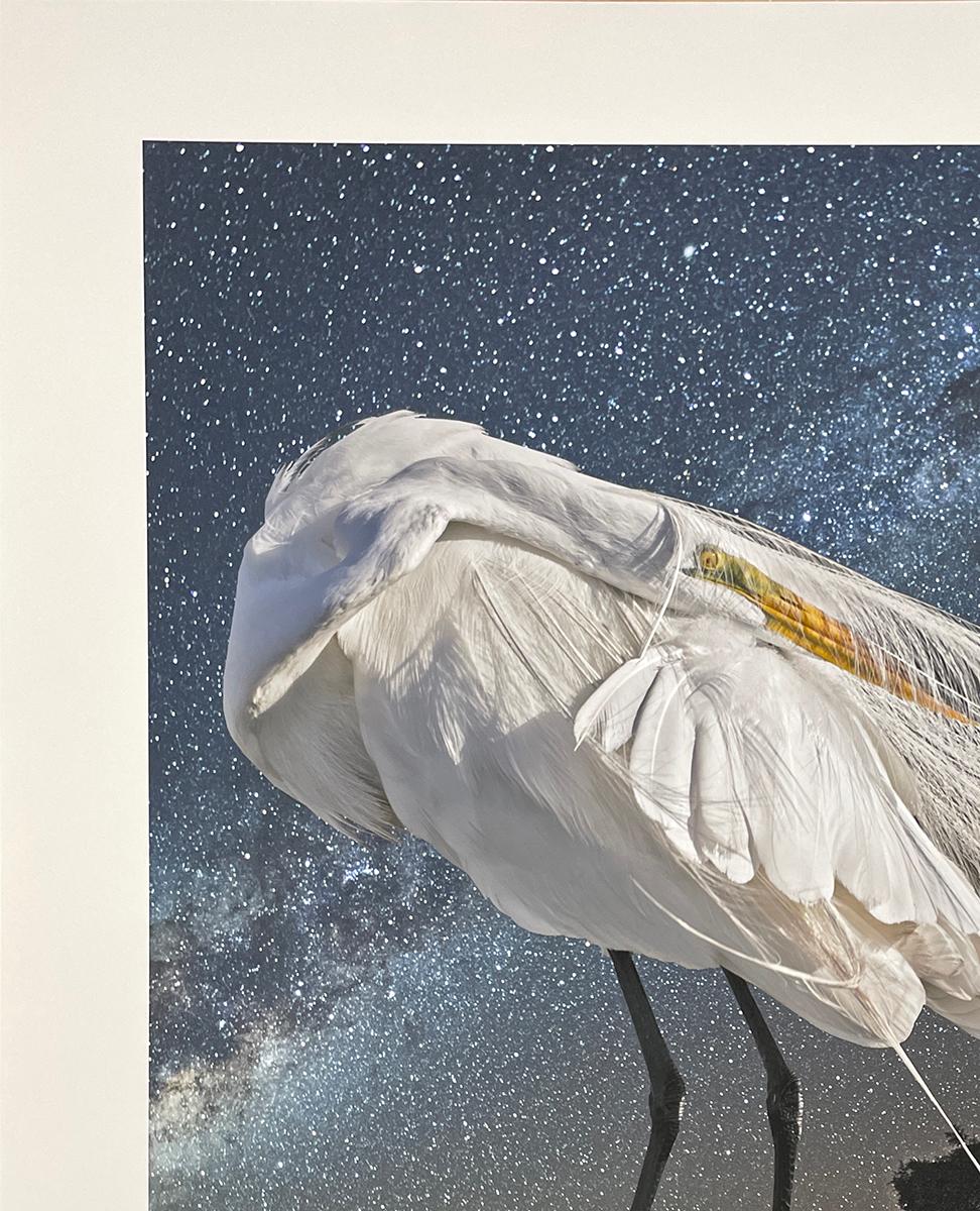 Garceta grande y la Vía Láctea - Fotografía en color de edición limitada, Ave, Space en venta 3