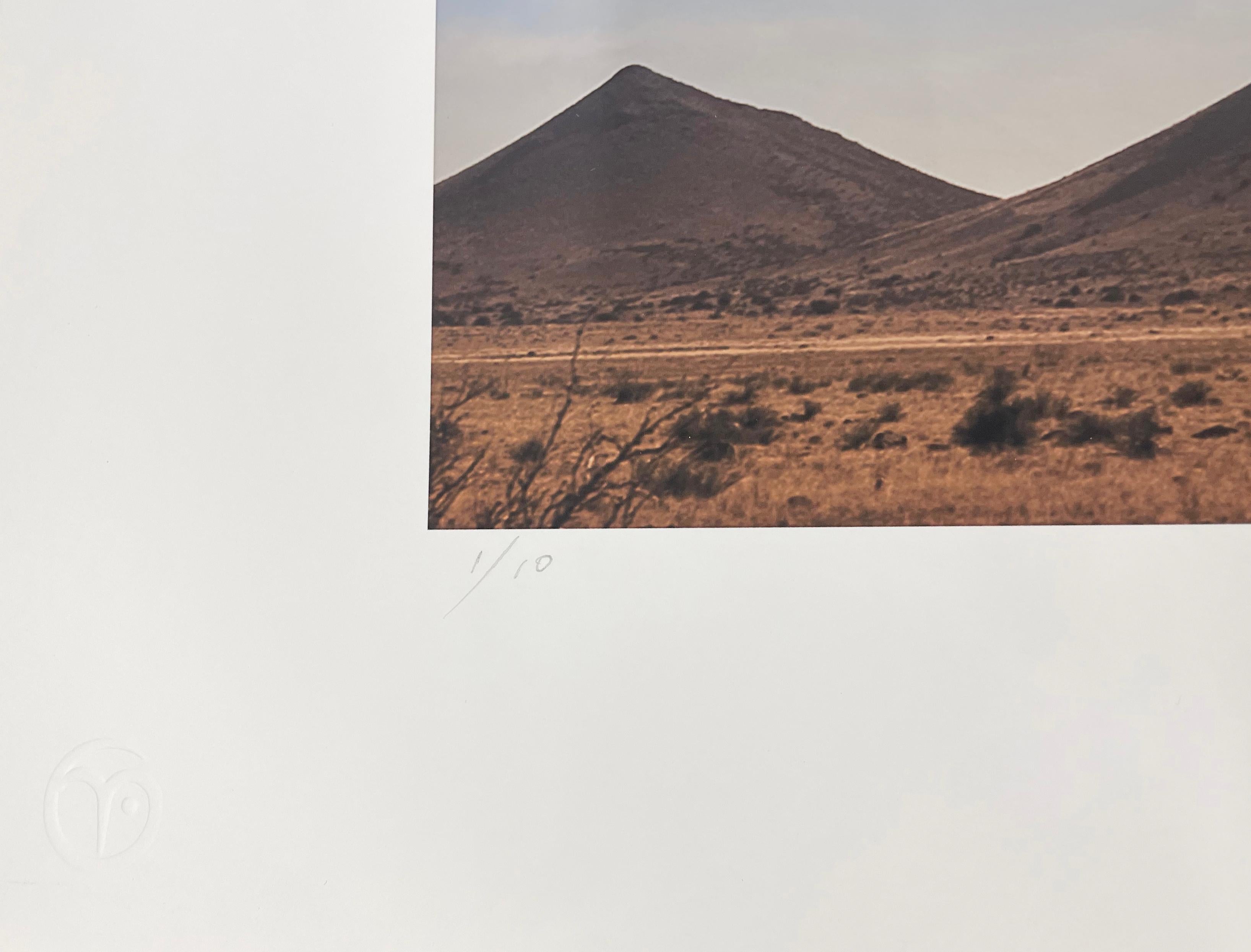 Great Egret in Flight – Farbfotografie, Künstlerin als Frau, Vogel, limitierte Auflage (Zeitgenössisch), Photograph, von Cheryl Medow