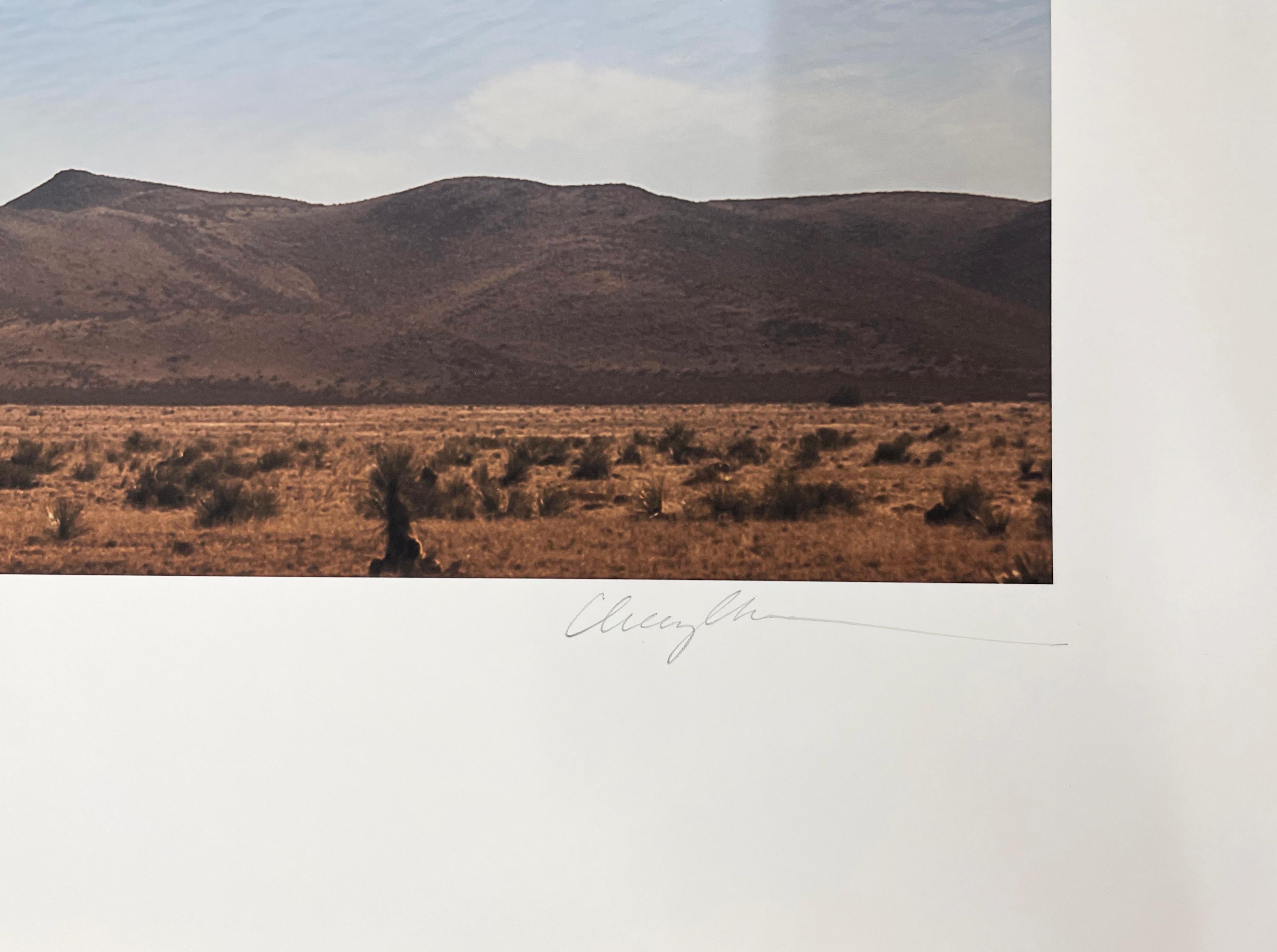 Great Egret in Flight – Farbfotografie, Künstlerin als Frau, Vogel, limitierte Auflage (Grau), Color Photograph, von Cheryl Medow