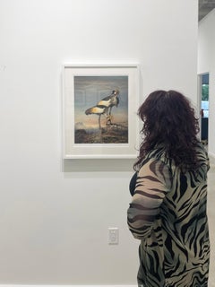 Grey Crowned Cranes - Limited Edition Color Photograph, Woman Artist, Birds