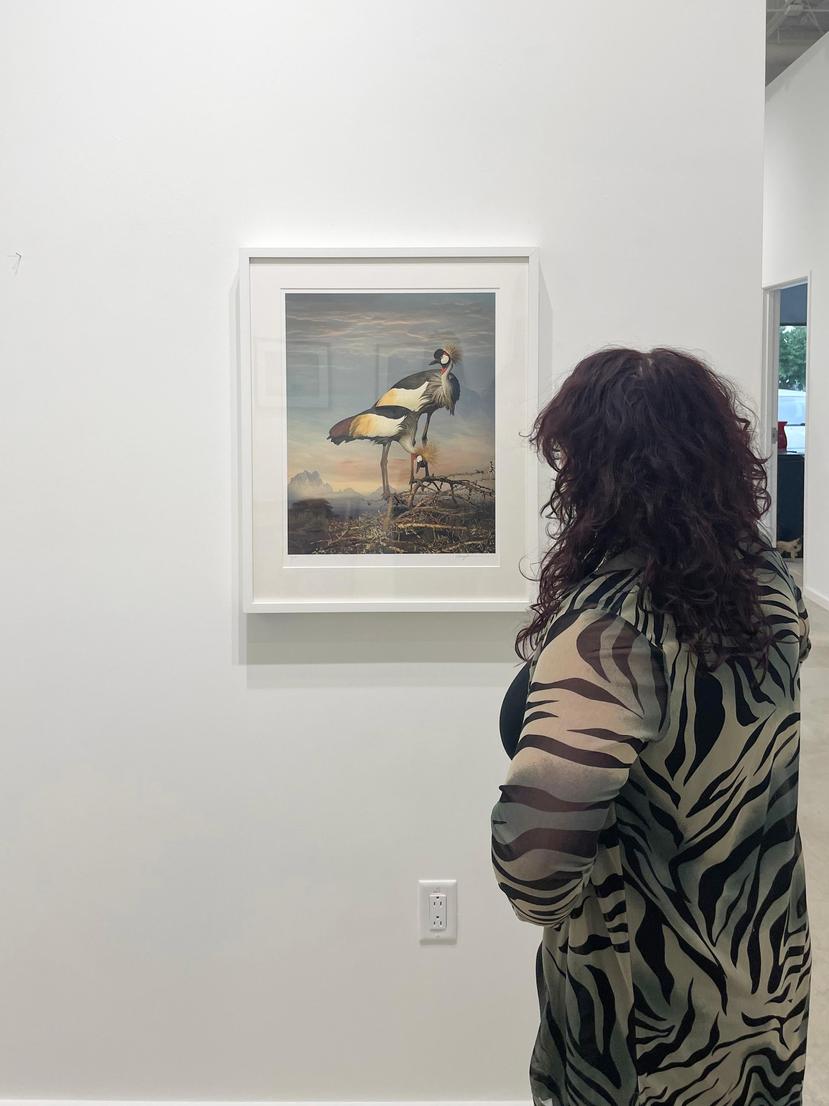 Grey Crowned Cranes - Limited Edition Color Photograph, Woman Artist, Birds For Sale 1