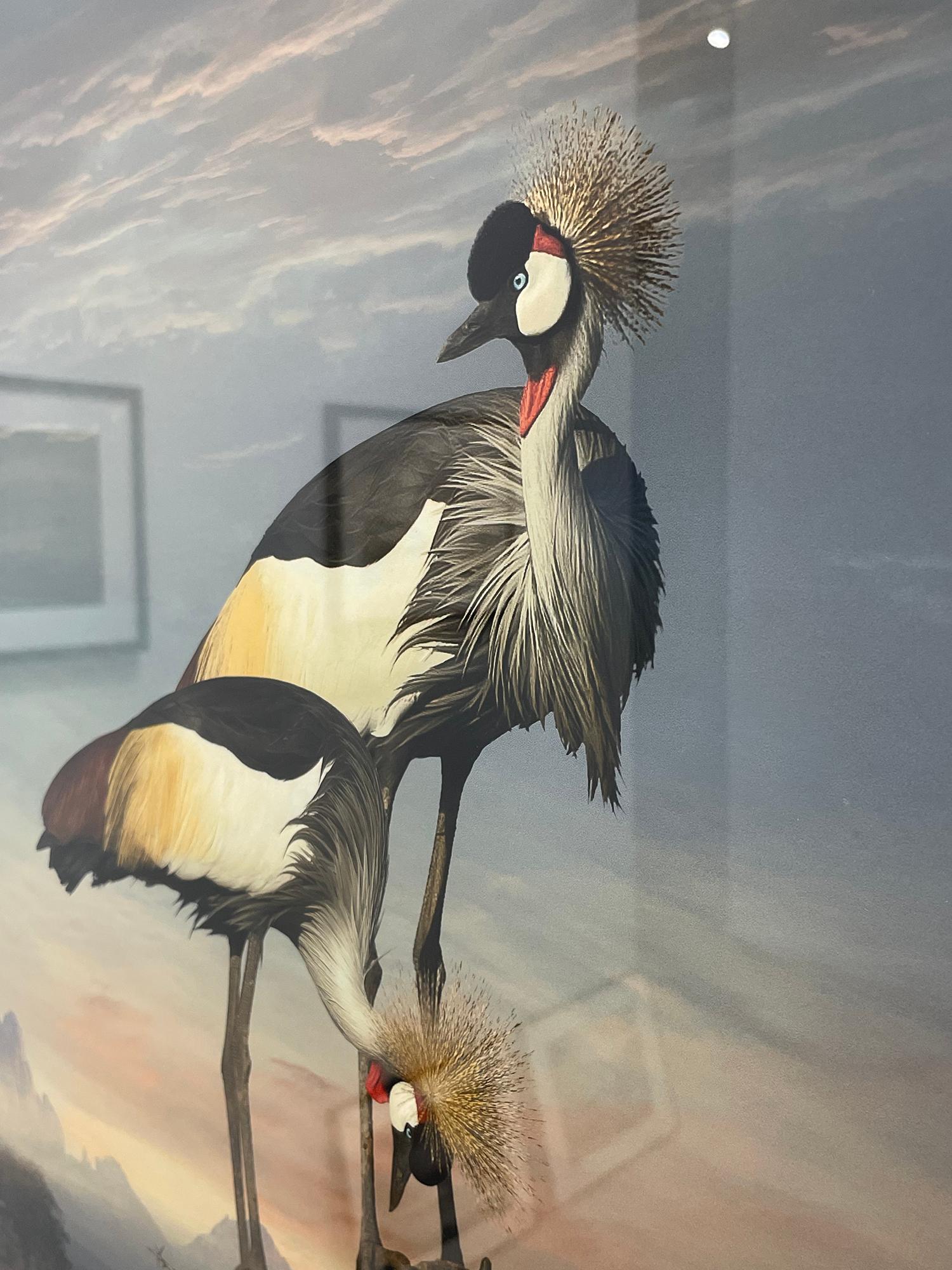 Grey Crowned Cranes - Limited Edition Color Photograph, Woman Artist, Birds For Sale 5