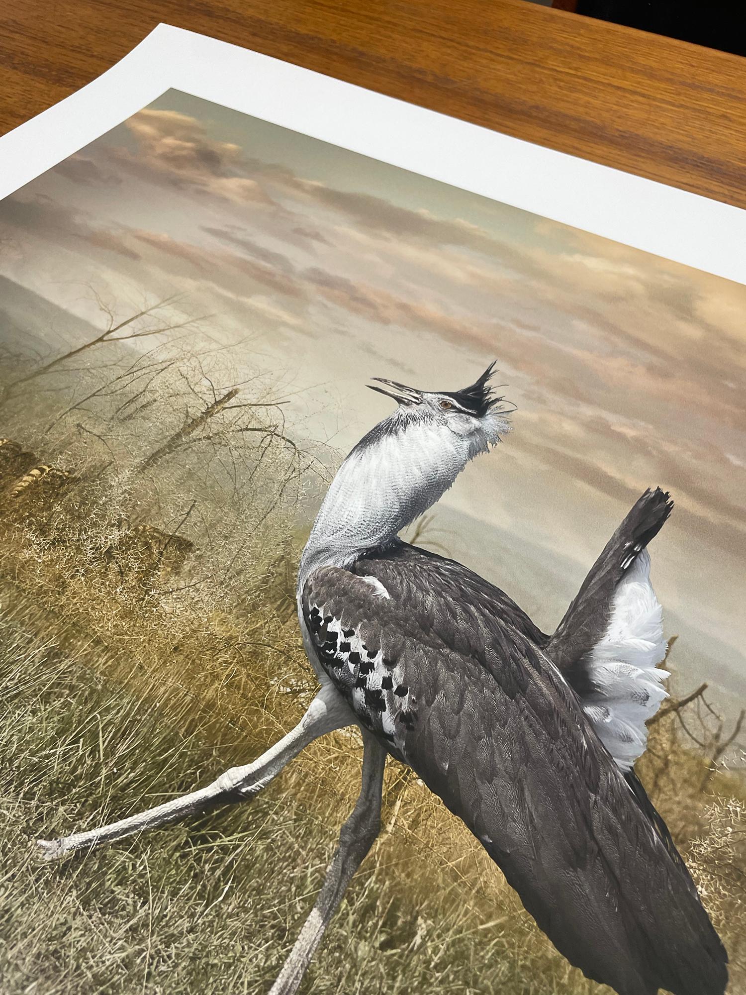 Kori Bustard And Zebras - Farbfotografie, Künstlerin, Vogel, Landschaft (Surrealismus), Photograph, von Cheryl Medow