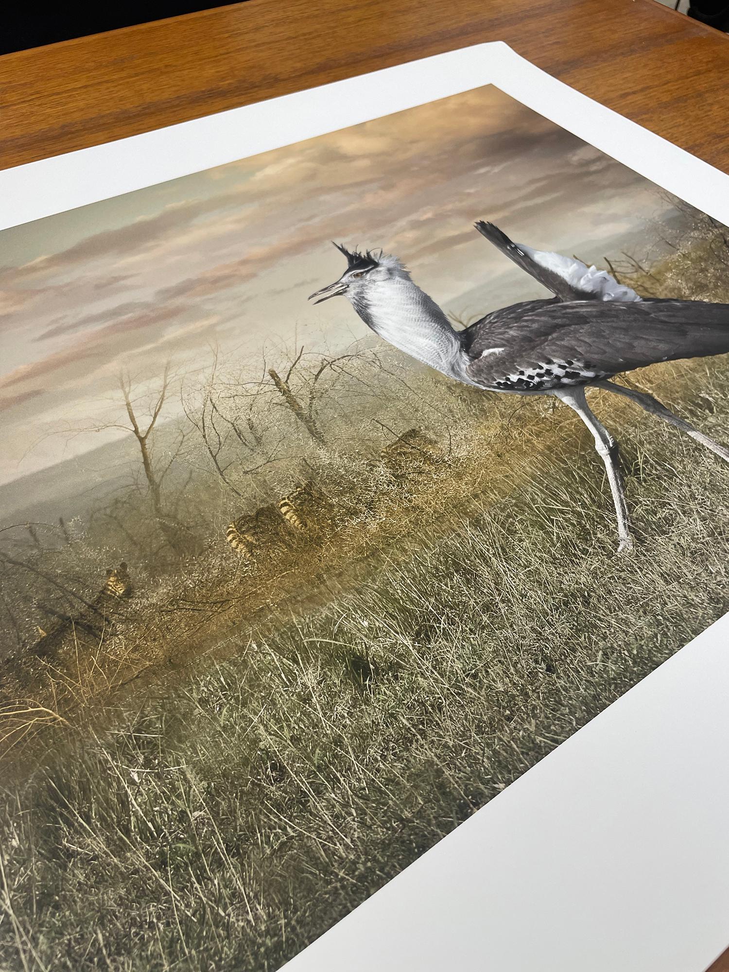 Kori Bustard And Zebras - Farbfotografie, Künstlerin, Vogel, Landschaft (Braun), Color Photograph, von Cheryl Medow