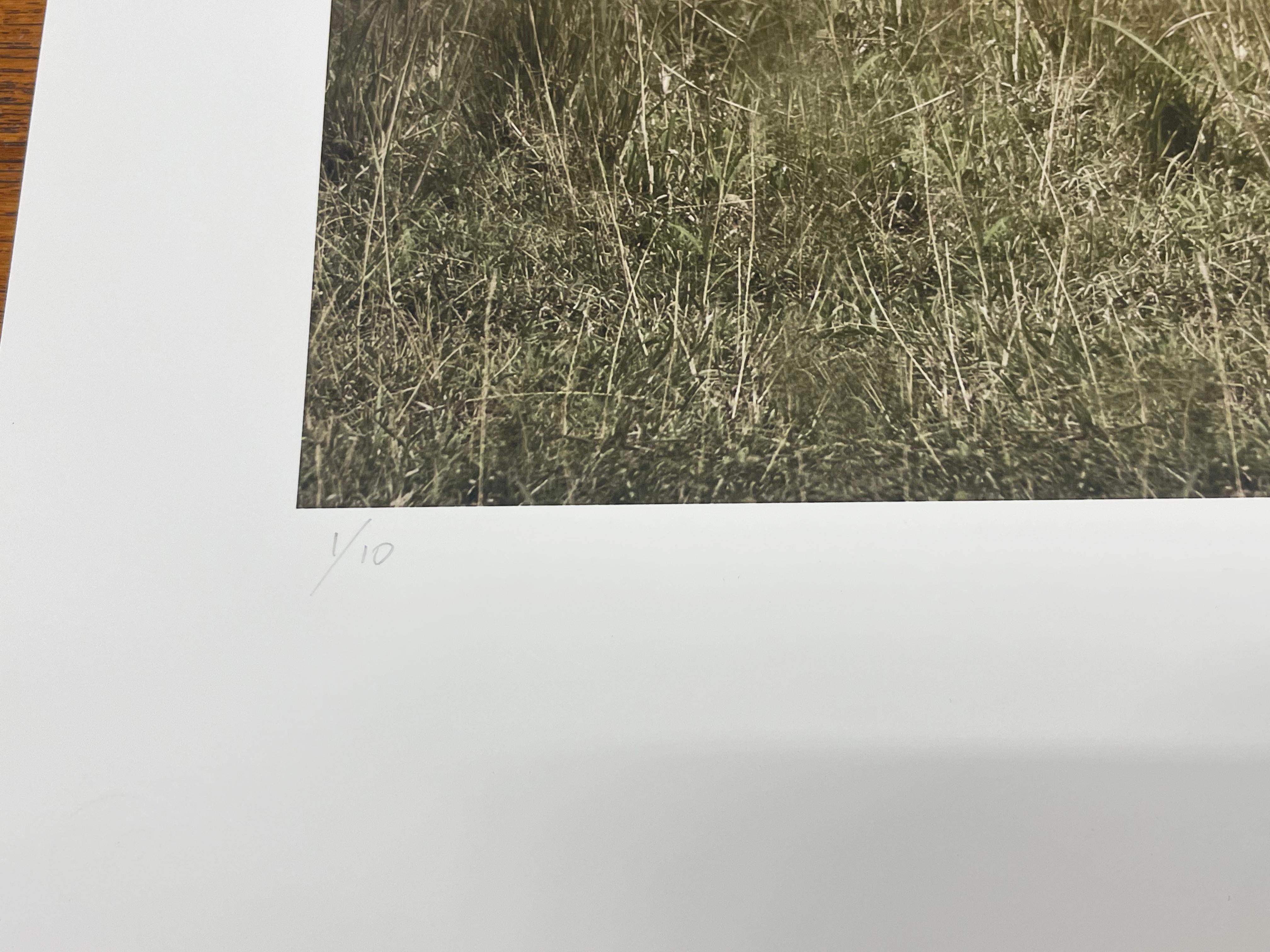 Auflage von 10 Stück
Signiert und nummeriert mit Bleistift und Blindstempel am Druckrand von Cheryl Medow
Verso mit Bleistift signiert, betitelt, datiert und Drucktyp von Cheryl Medow
Papierformat: 21 x 24 Zoll, Bildformat: 16 x 20