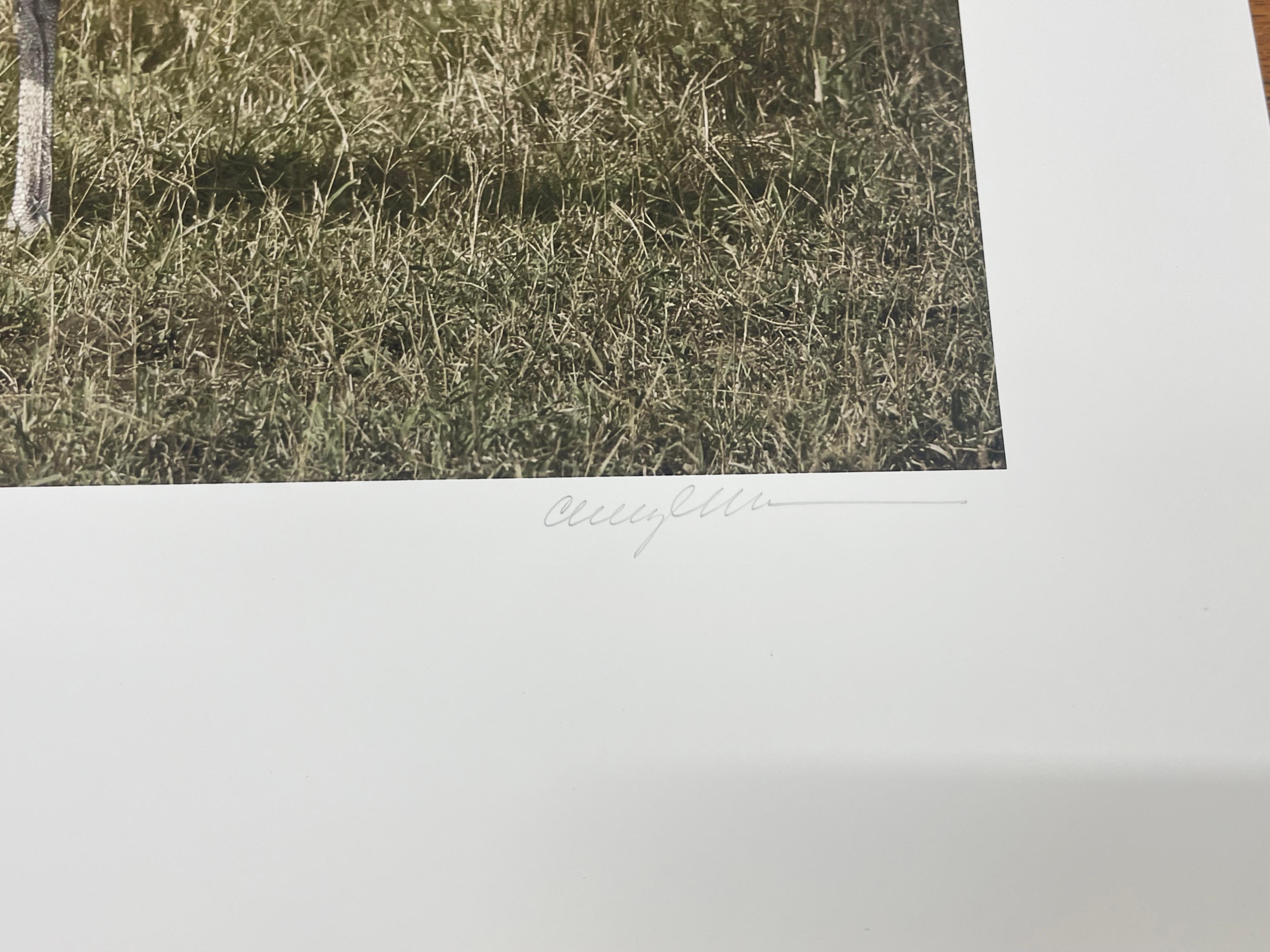 Kori Bustard And Zebras - Farbfotografie, Künstlerin, Vogel, Landschaft im Angebot 1