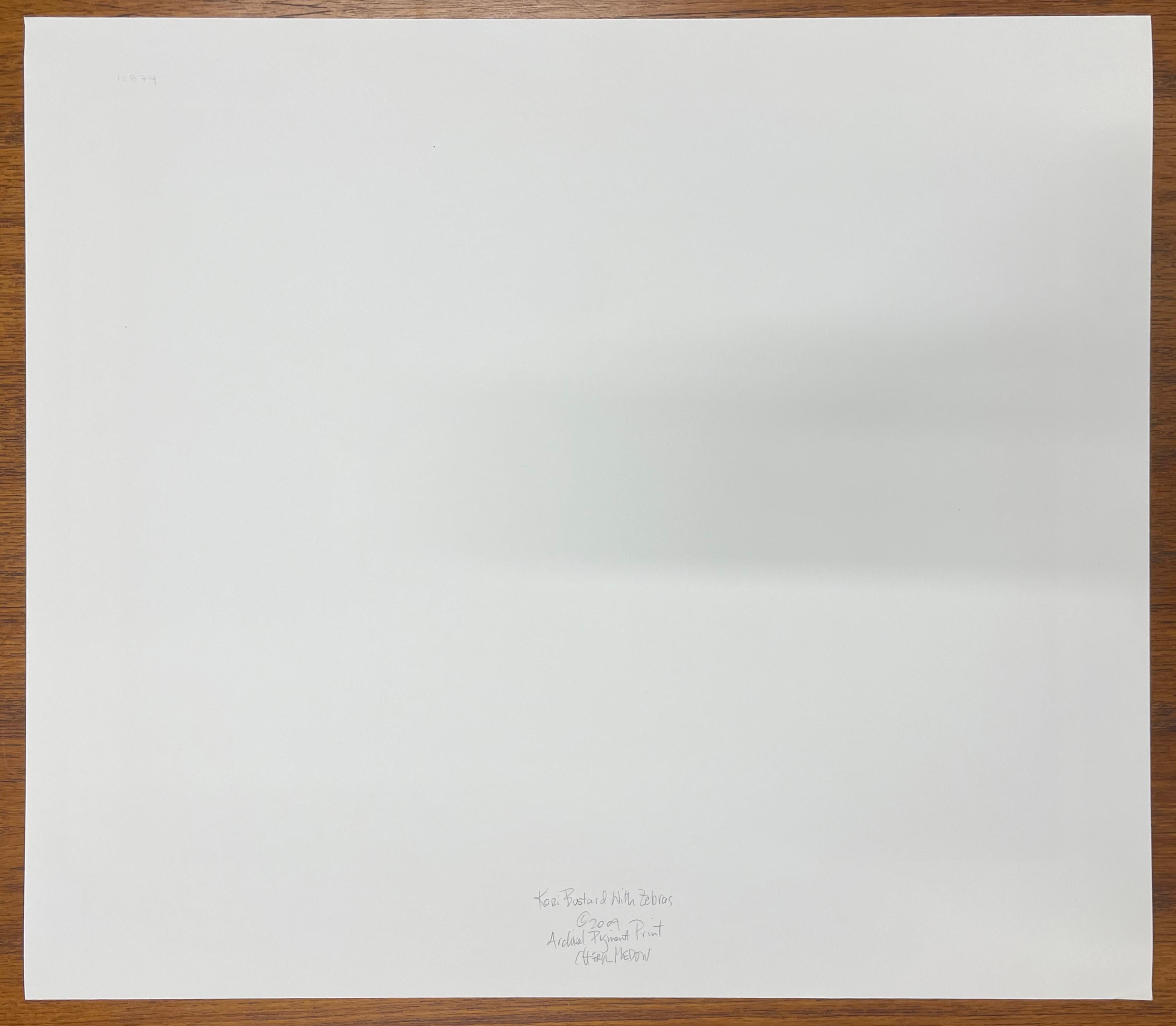 Kori Bustard And Zebras - Farbfotografie, Künstlerin, Vogel, Landschaft im Angebot 2