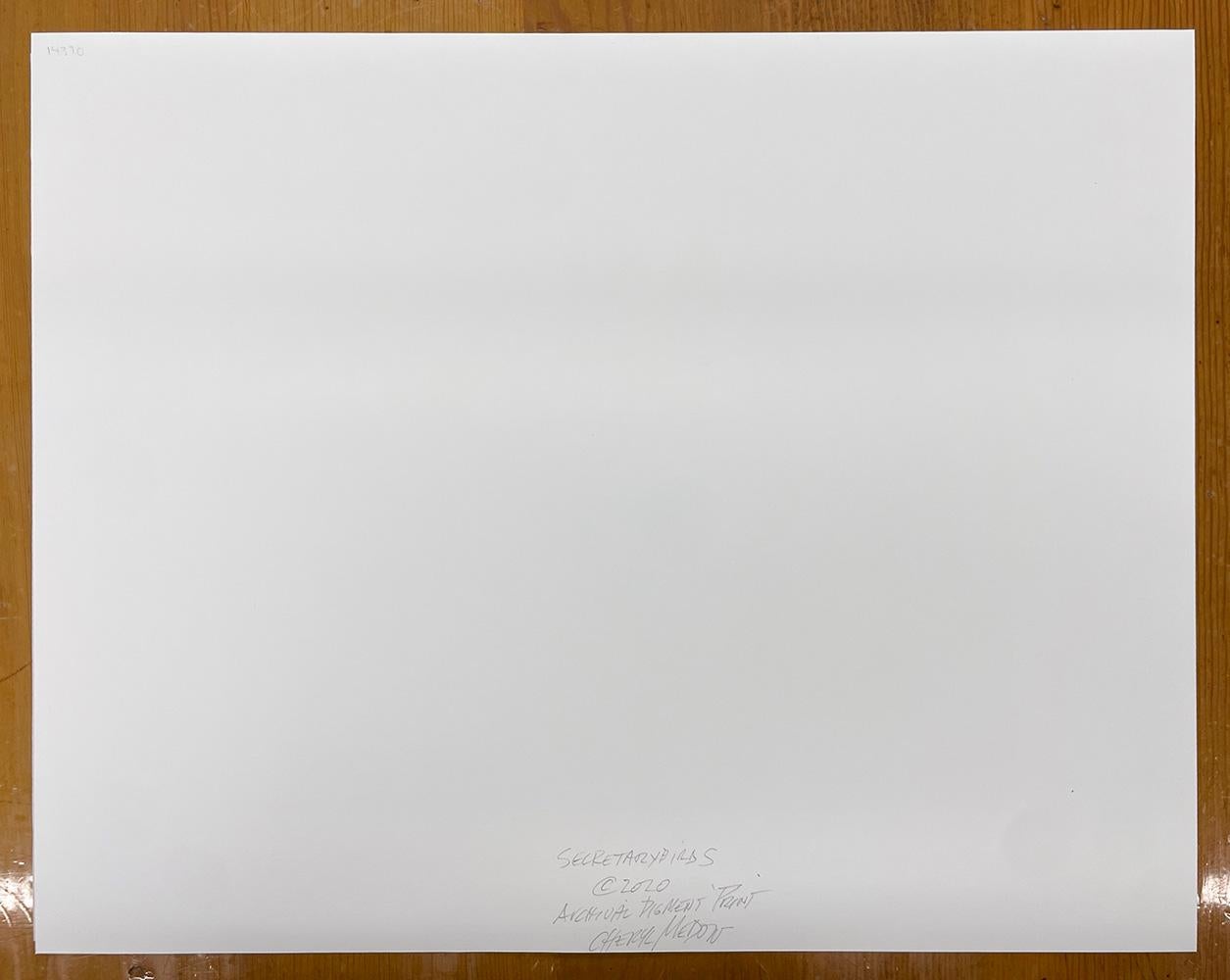 Secretarybirds - Wildtiere, Vögel, Landschaft, Zebras, afrikanische Tiere im Angebot 5