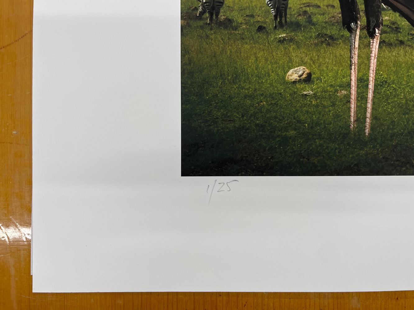 Secretarybirds - Wildtiere, Vögel, Landschaft, Zebras, afrikanische Tiere im Angebot 2