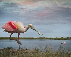Spoonbills at the Lagoon by Cheryl Medow, 2023, Archival Pigment Print