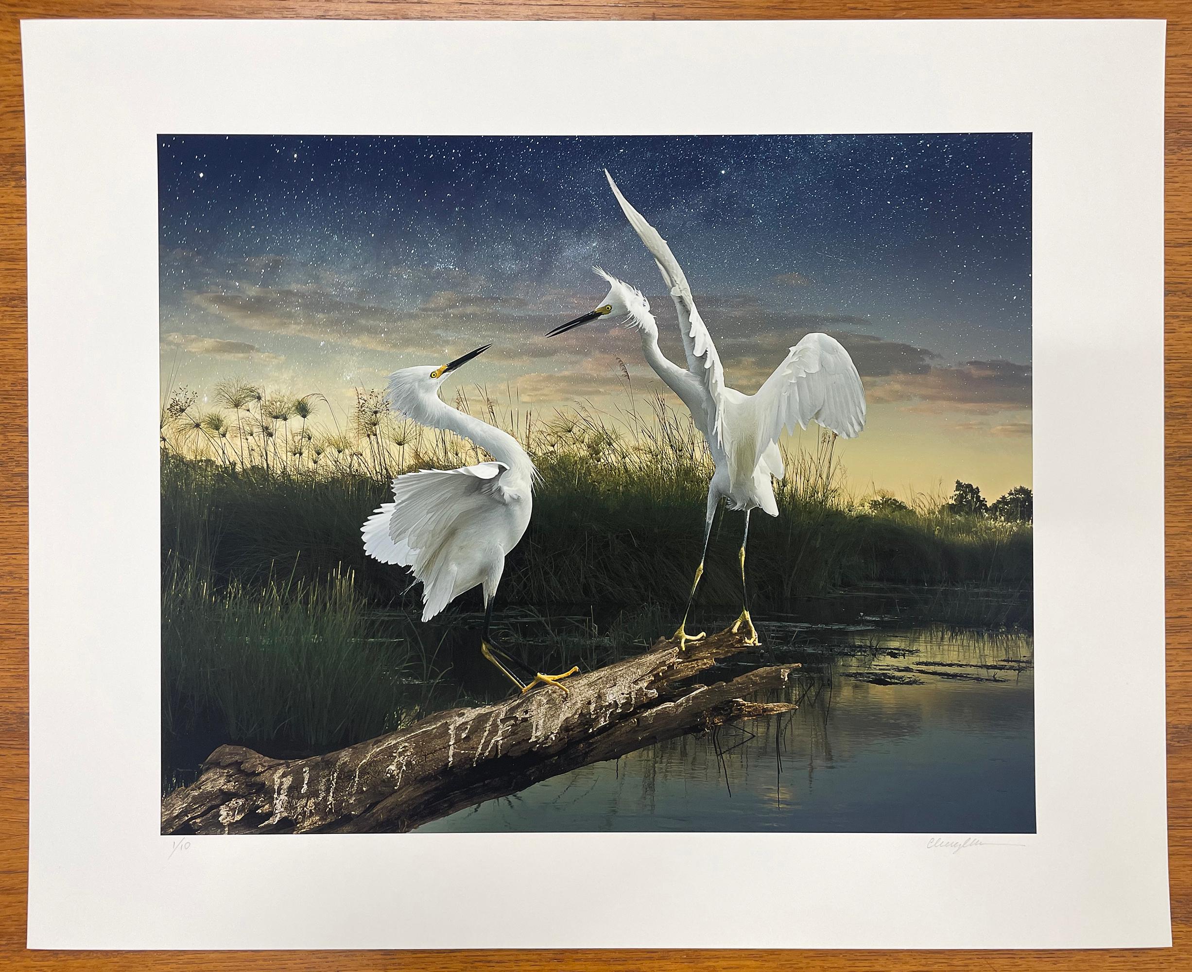 Deux Neiges, Femme Artiste, Oiseaux, Paysage - Photograph de Cheryl Medow